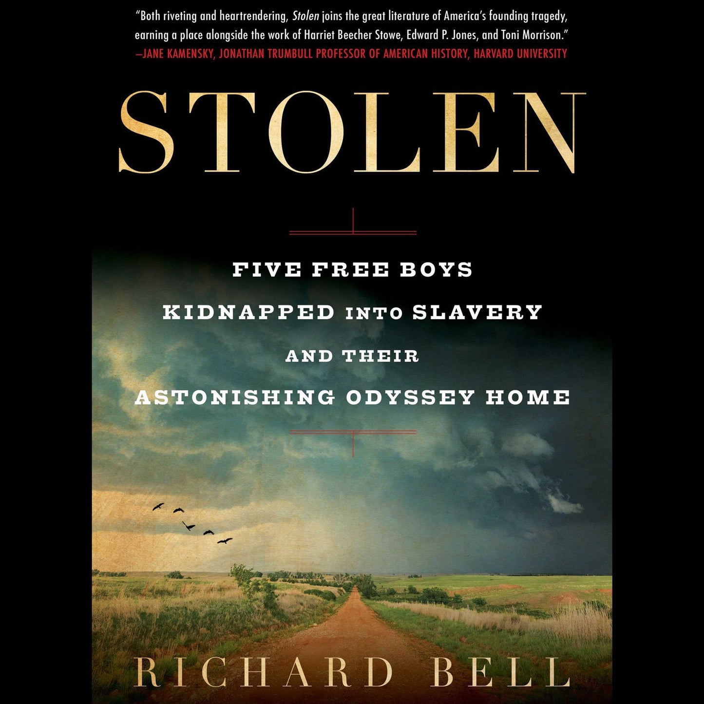 Stolen: Five Free Boys Kidnapped into Slavery and Their Astonishing Odyssey Home