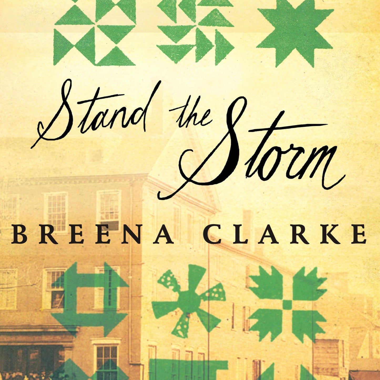 Stand the Storm: A Novel
