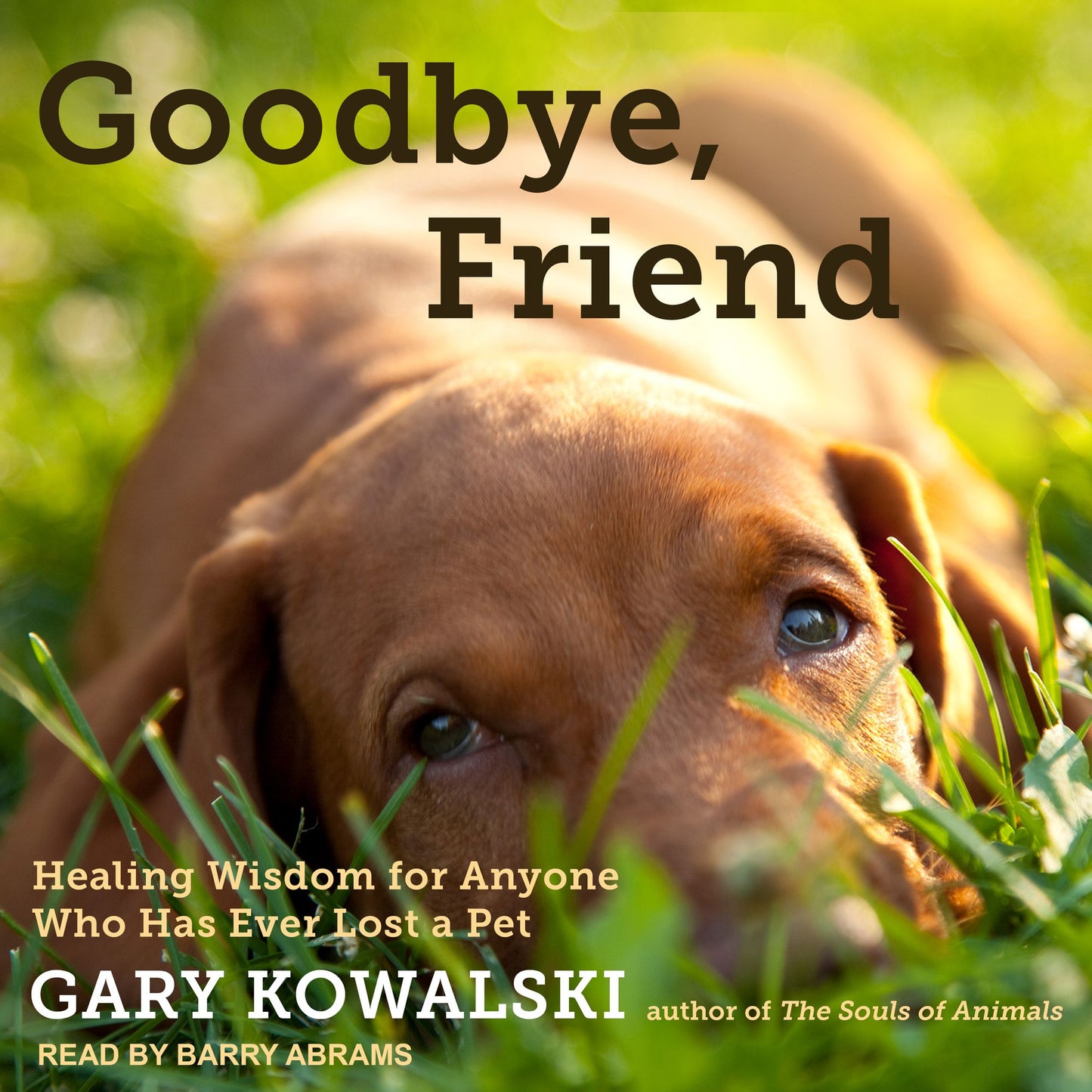 Goodbye, Friend: Healing Wisdom for Anyone Who Has Ever Lost a Pet