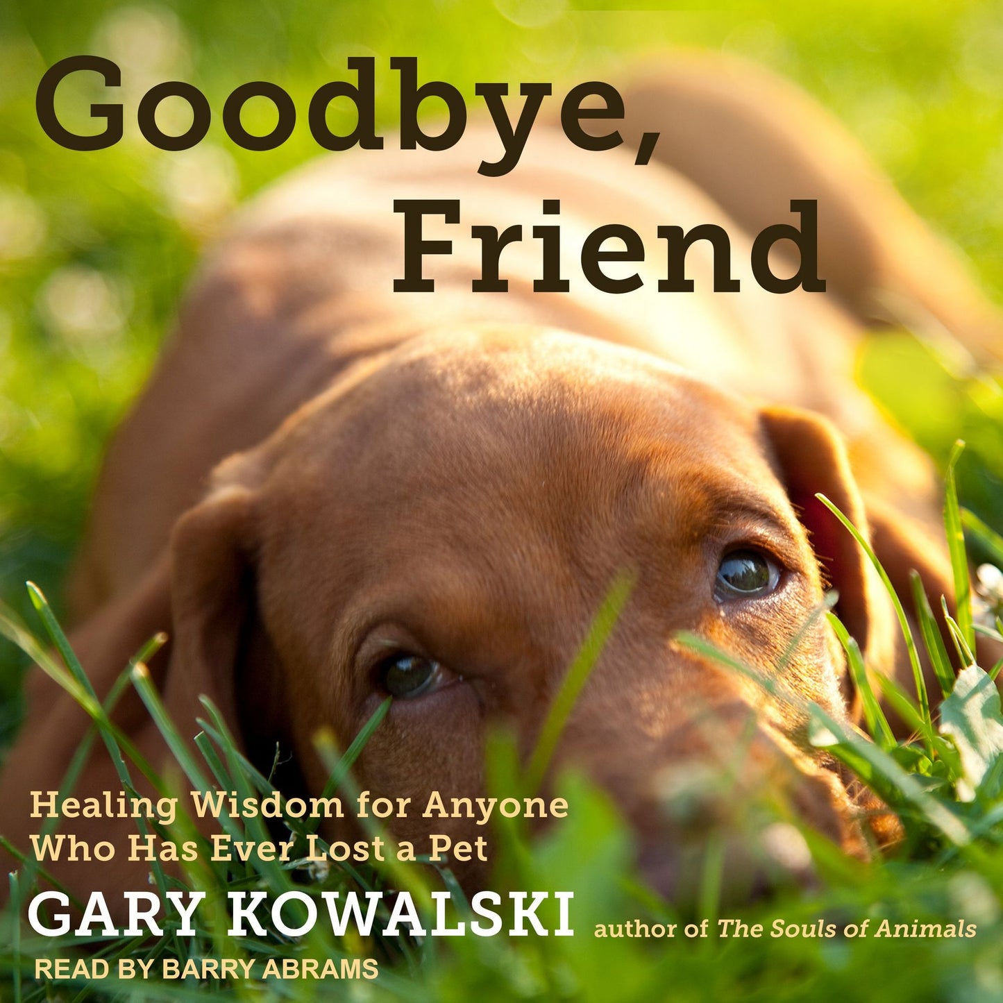 Goodbye, Friend: Healing Wisdom for Anyone Who Has Ever Lost a Pet