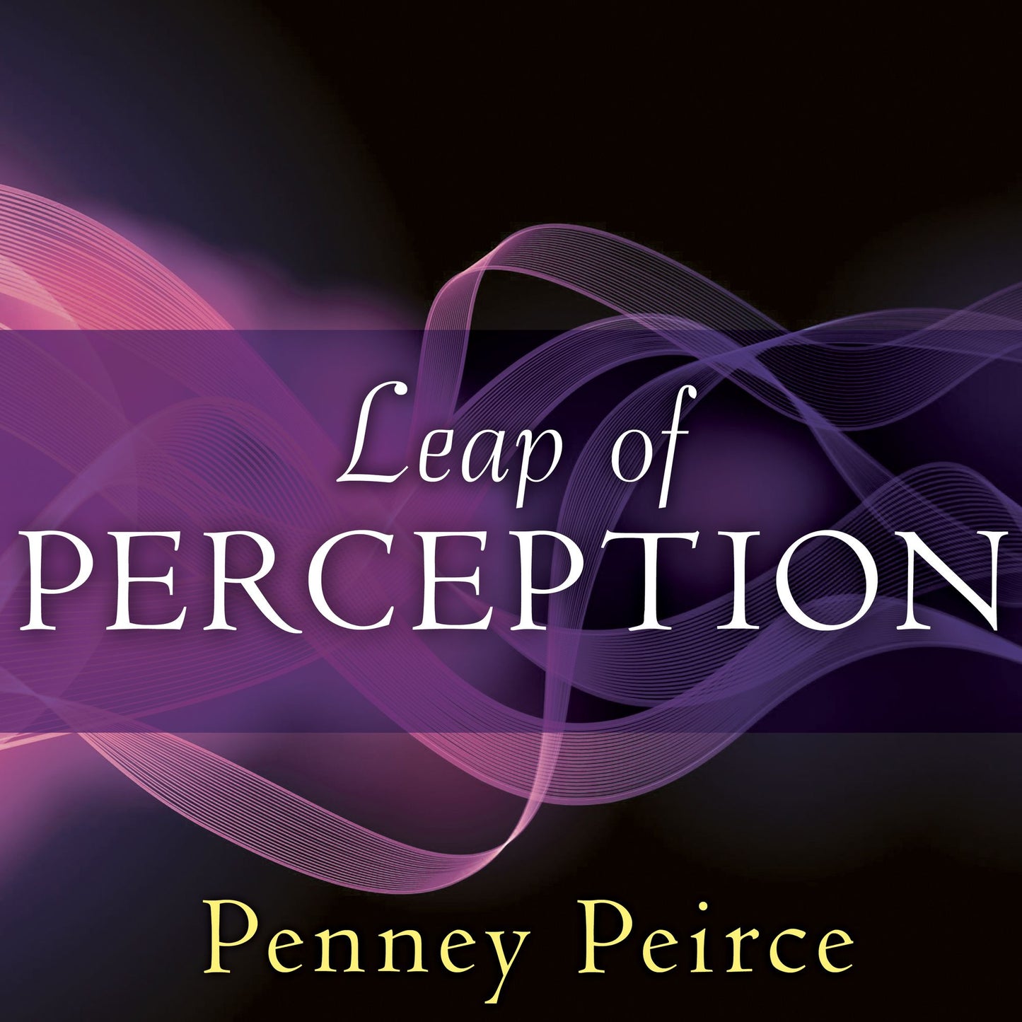 Leap of Perception: The Transforming Power of Your Attention