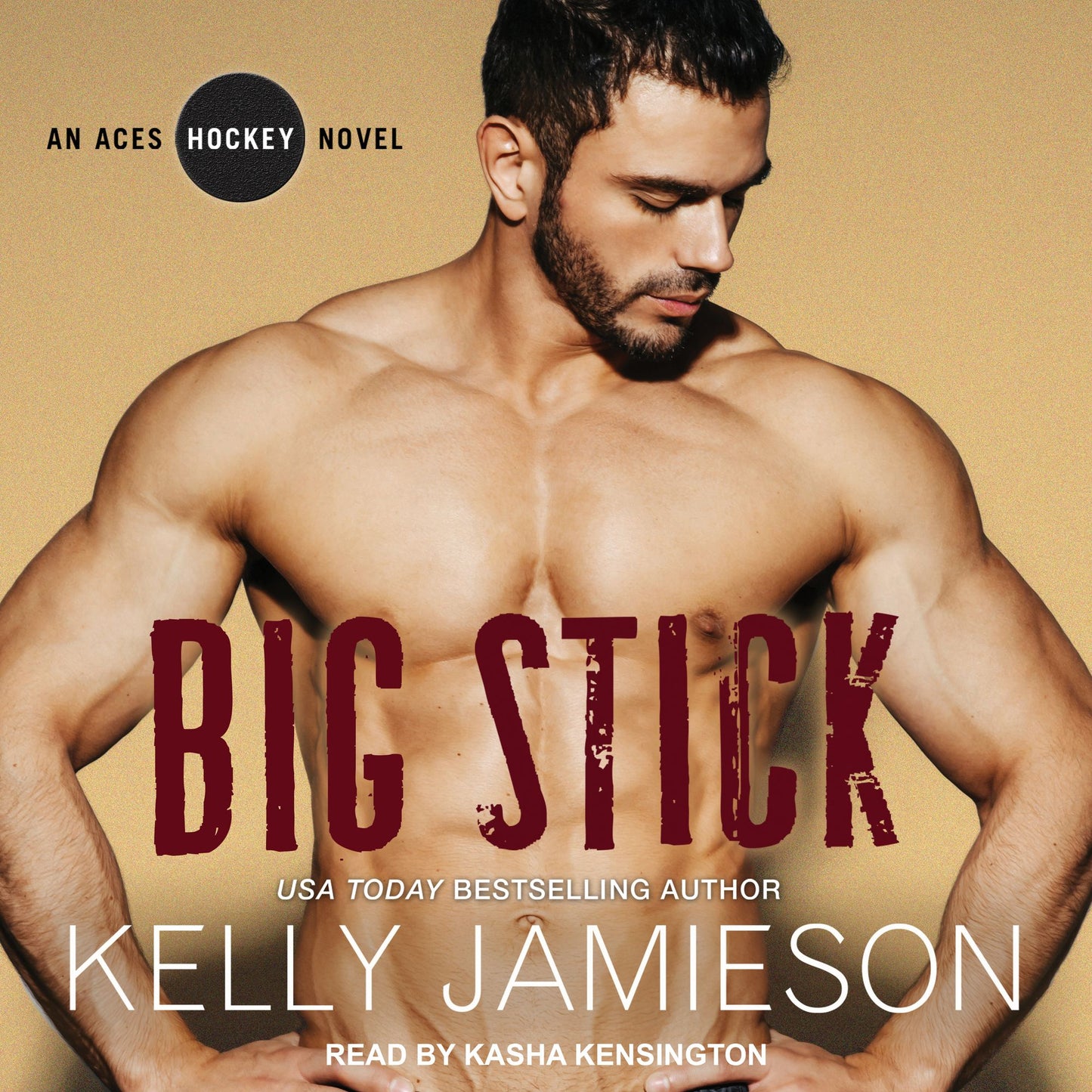 Big Stick: An Aces Hockey Novel
