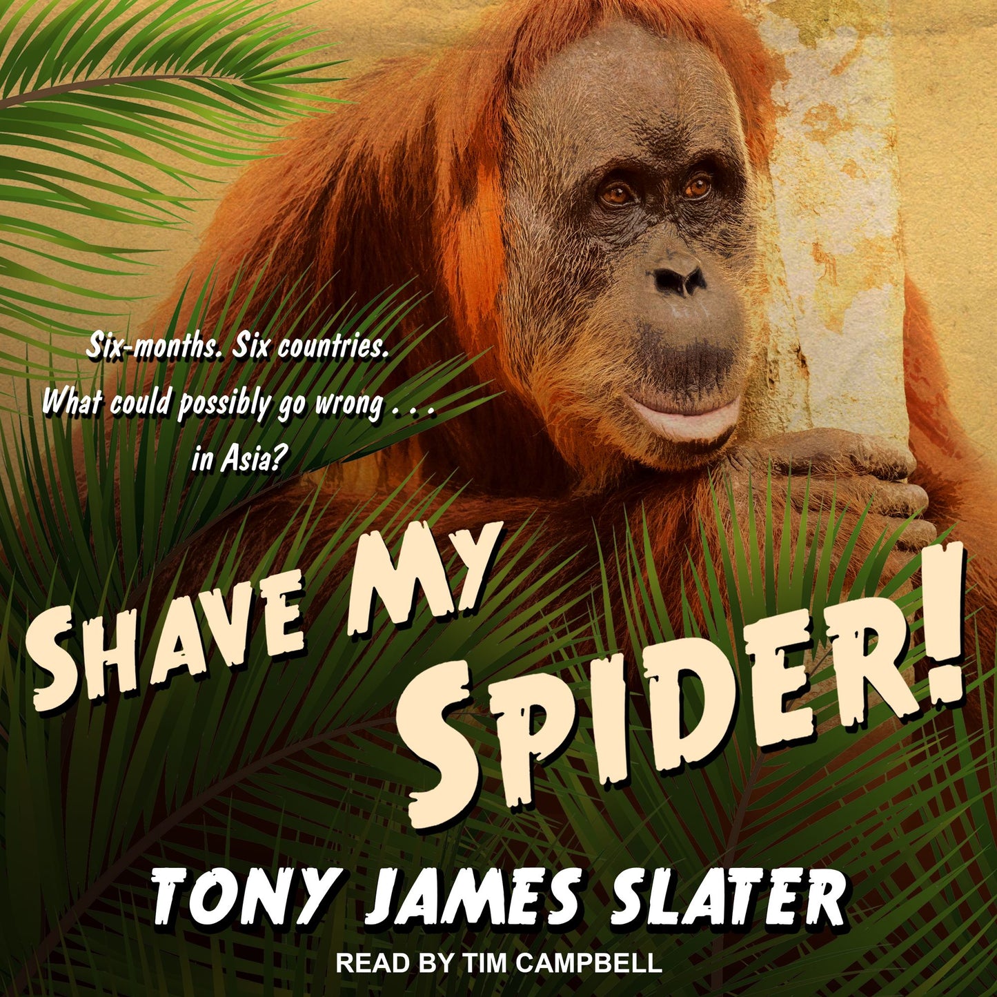Shave My Spider!: A six-month adventure around Borneo, Vietnam, Mongolia, China, Laos and Cambodia