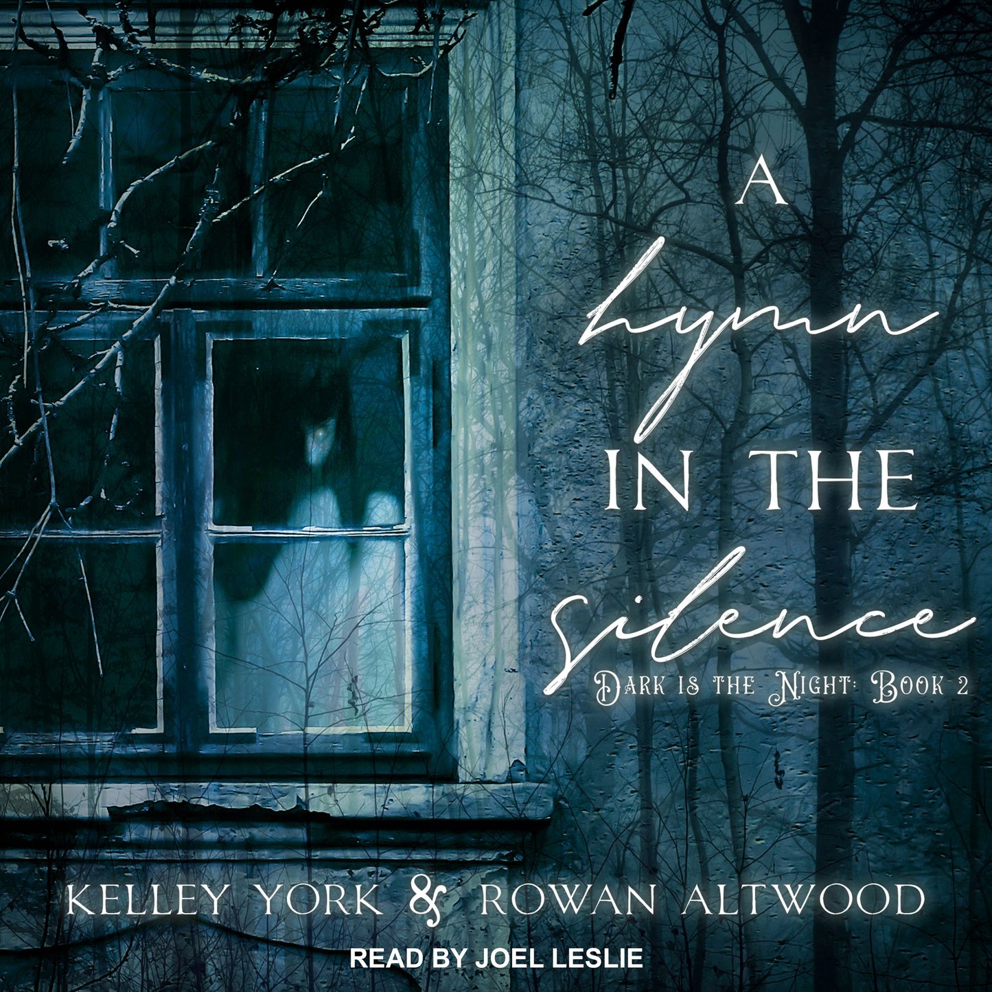 A Hymn in the Silence: Dark is the Night Book 2