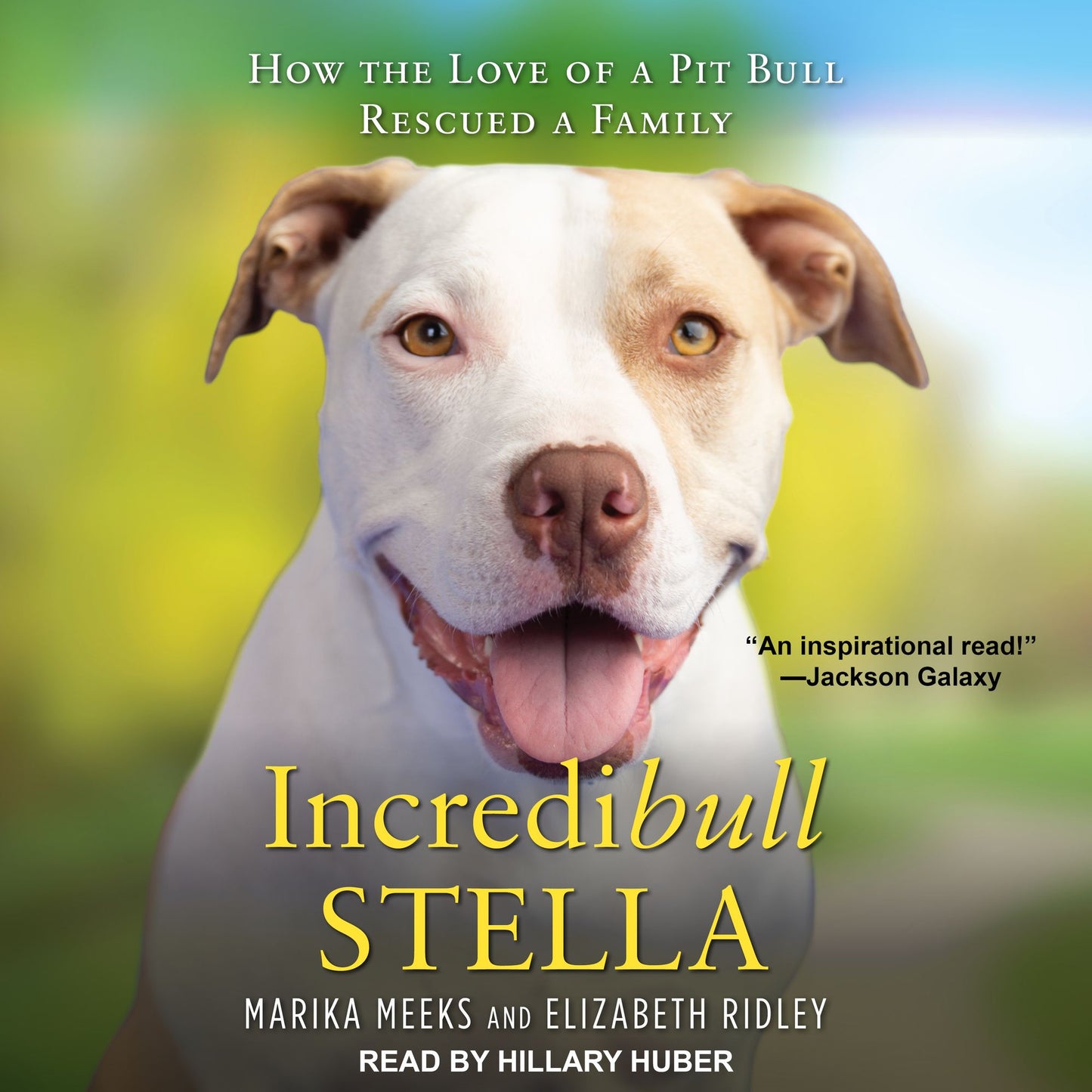 Incredibull Stella: How the Love of a Pit Bull Rescued a Family