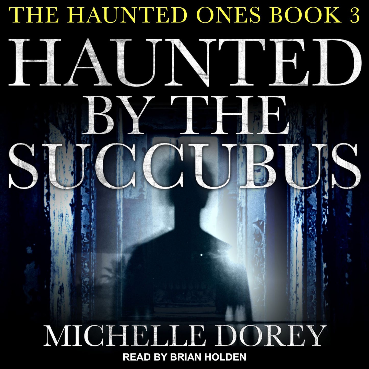 Haunted by the Succubus: The Haunted Ones, Book 3