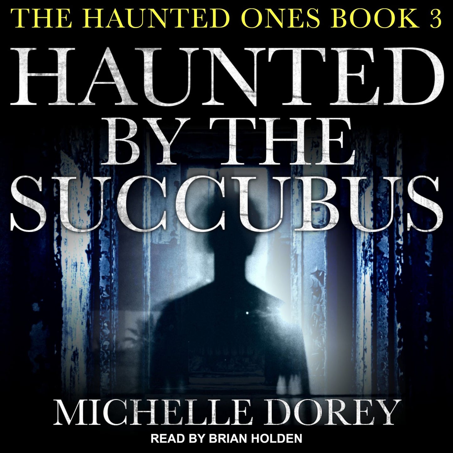 Haunted by the Succubus: The Haunted Ones, Book 3