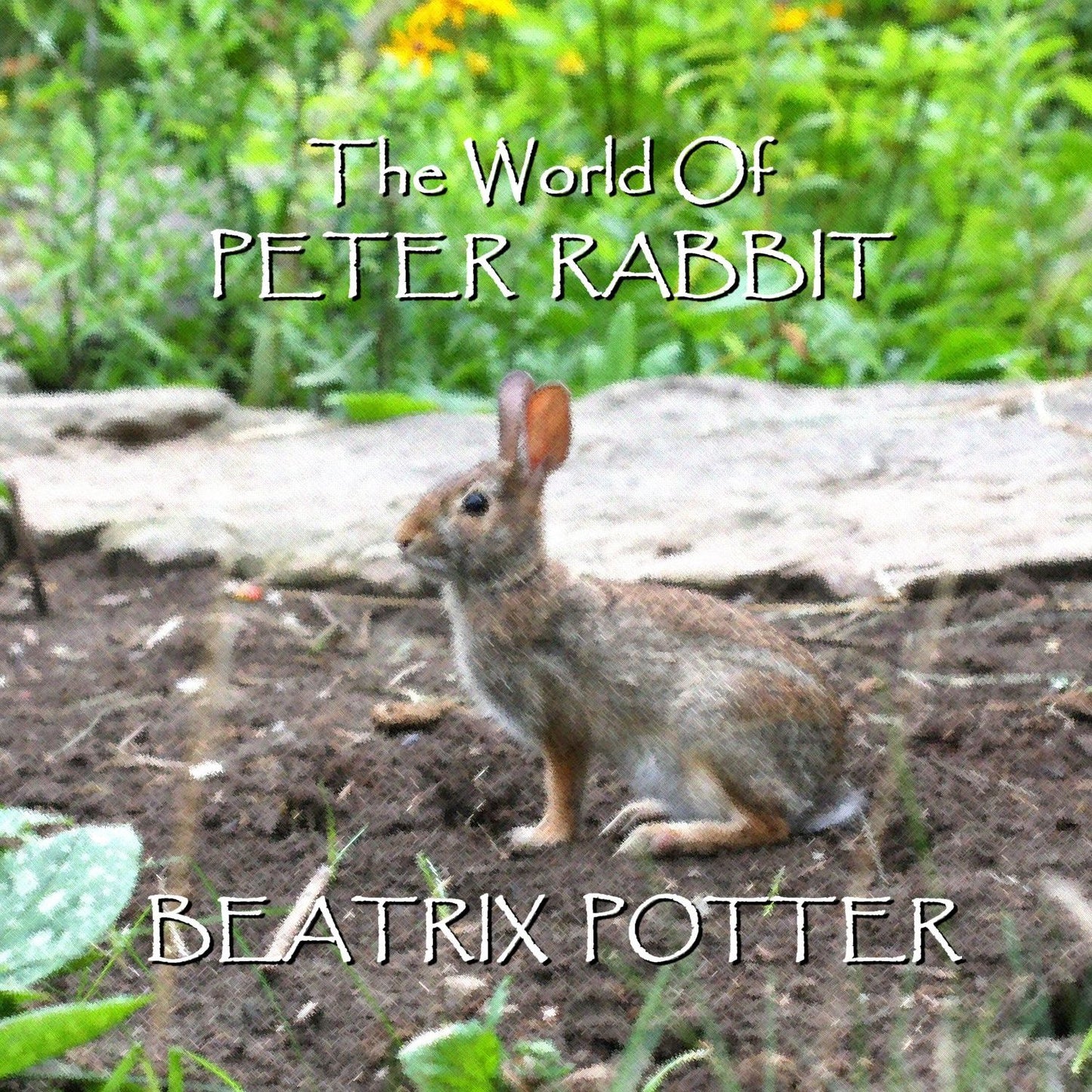 The World of Peter Rabbit