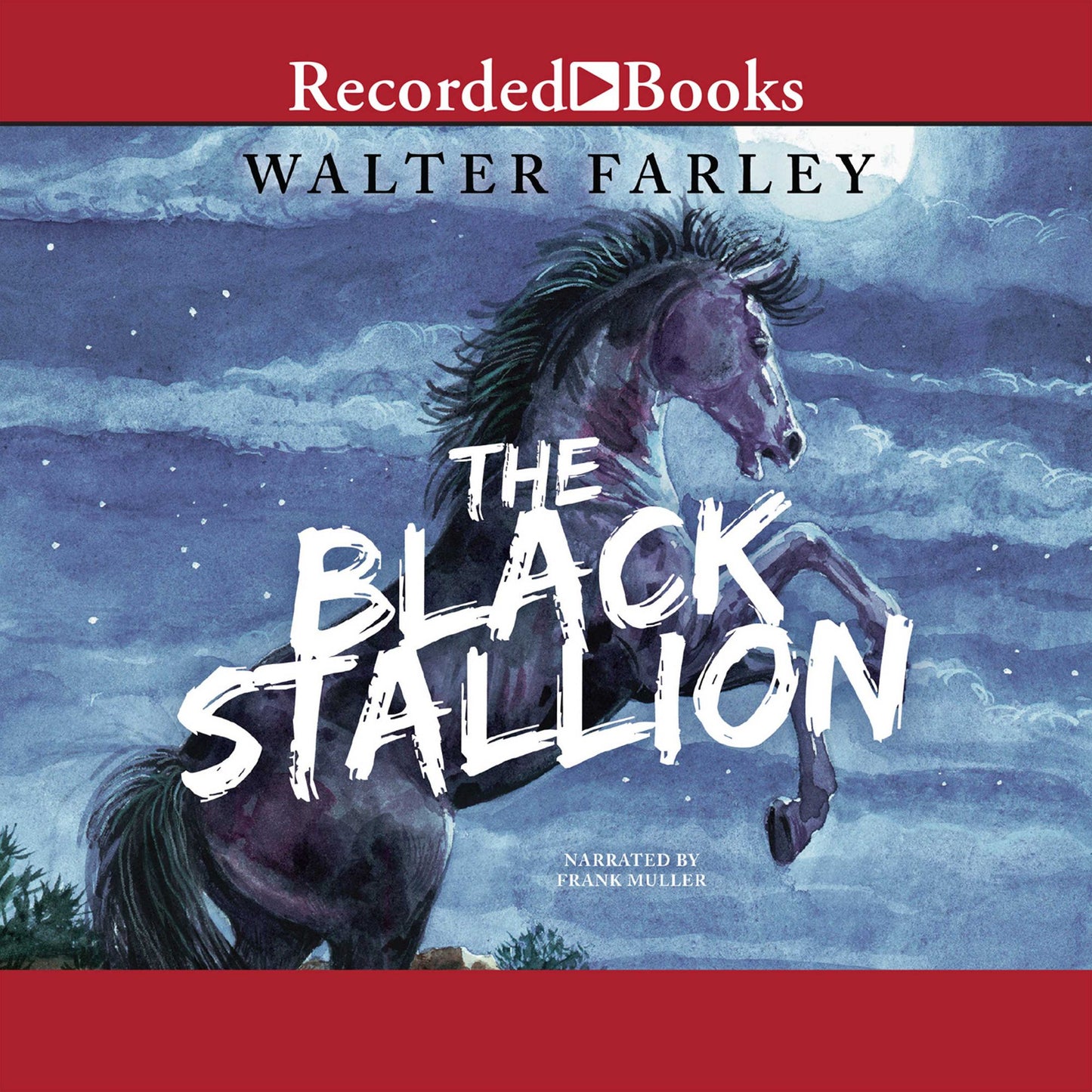 The Black Stallion