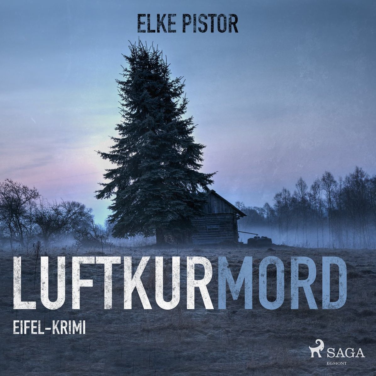 Luftkurmord - Eifel Krimi (UngekÃ¼rzt)