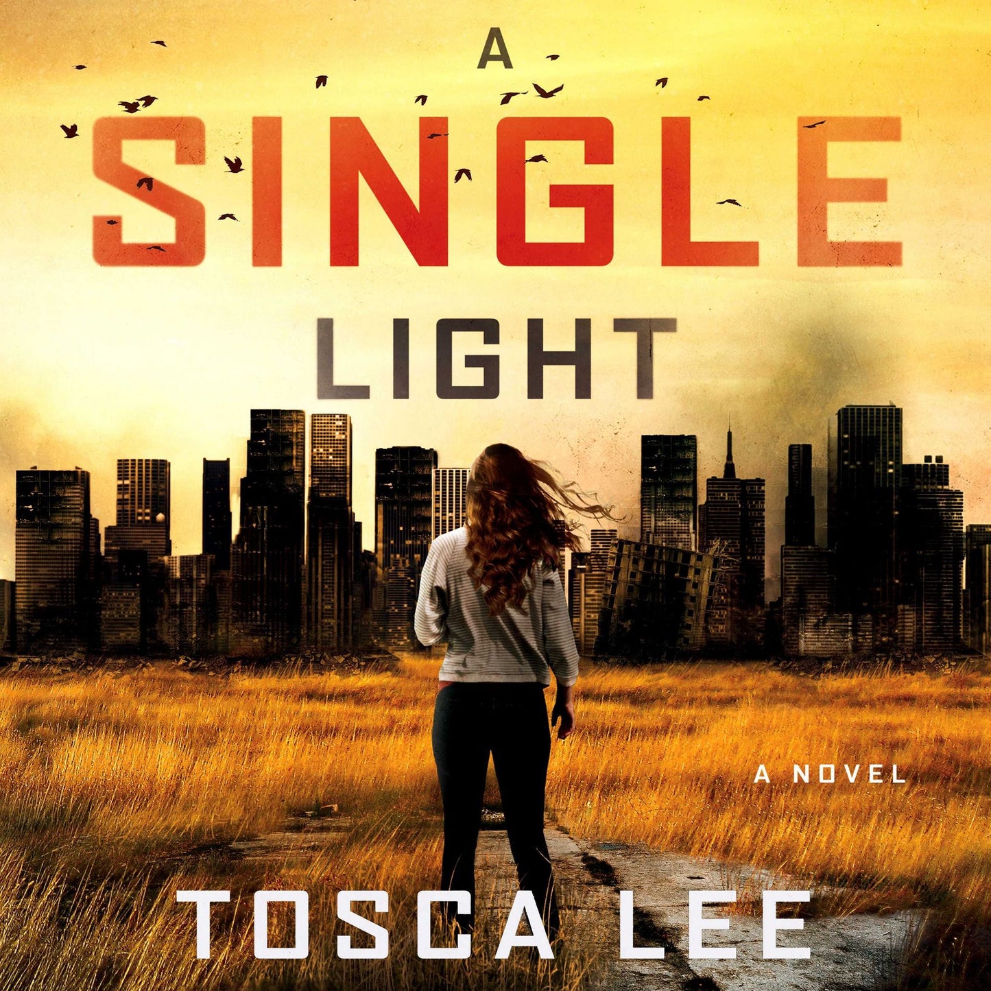 A Single Light: A Novel