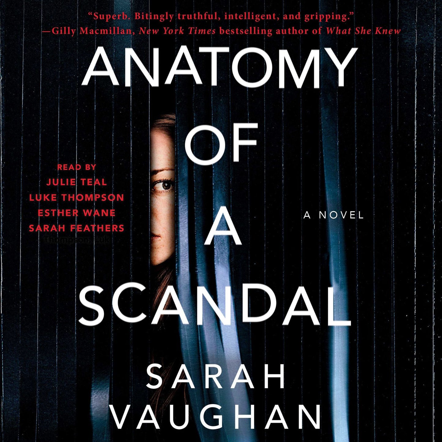 Anatomy of a Scandal: A Novel