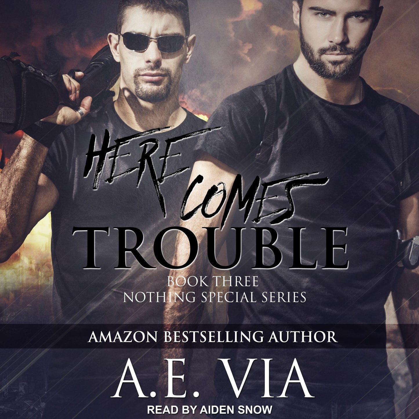 Here Comes Trouble: Book Three, Nothing Special Series