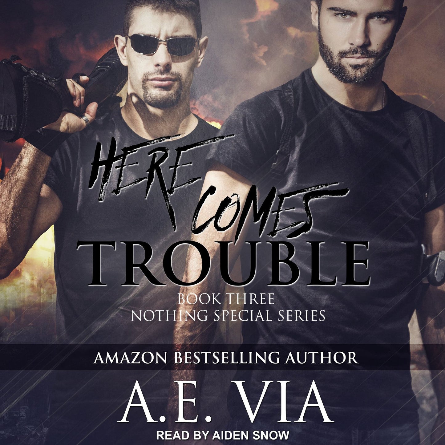 Here Comes Trouble: Book Three, Nothing Special Series