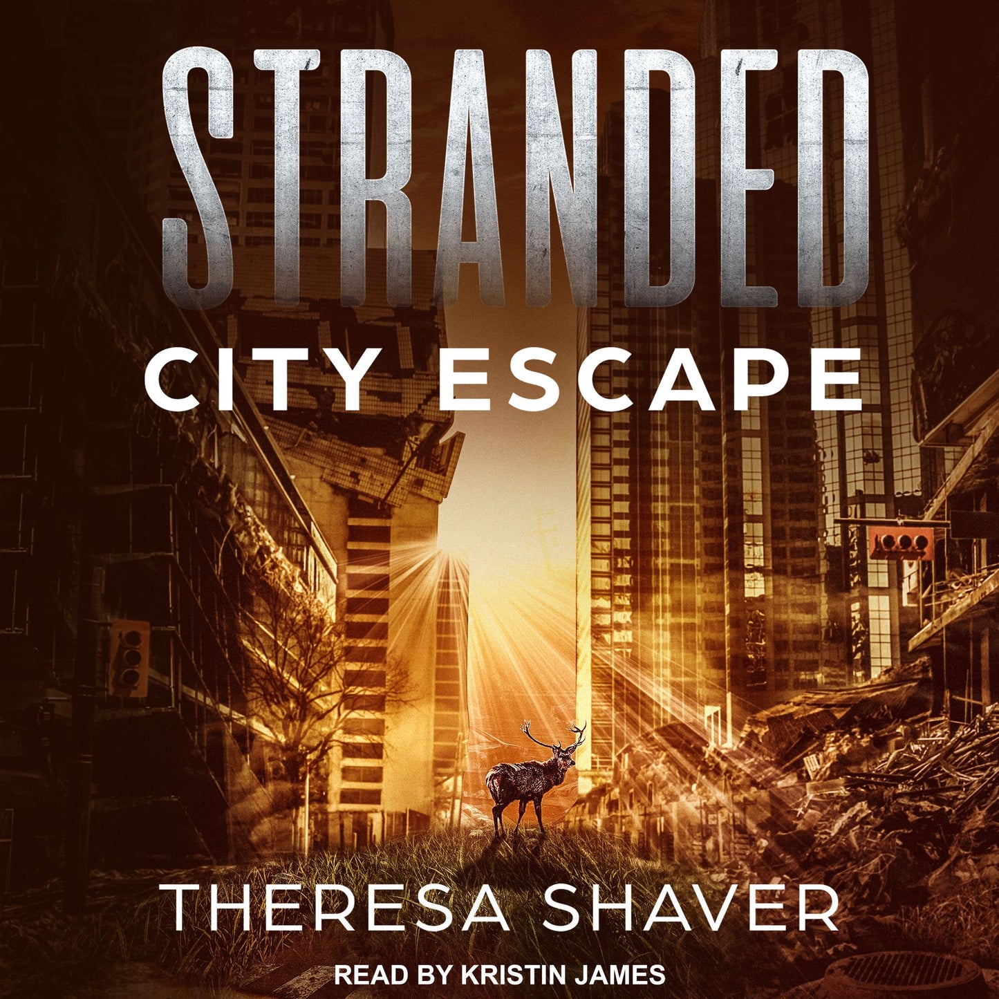 Stranded: City Escape