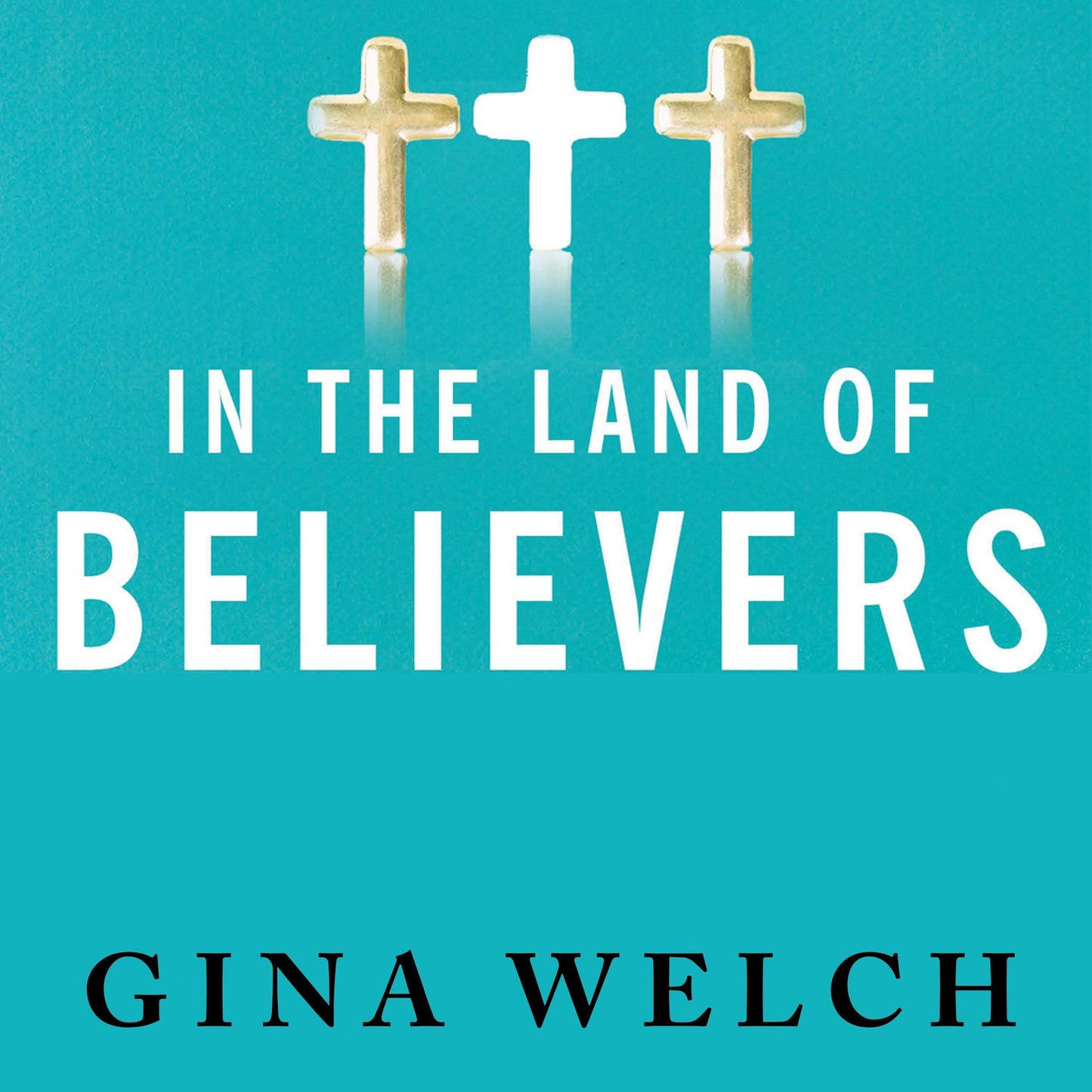 In the Land of Believers: An Outsider's Extraordinary Journey into the Heart of the Evangelical Church