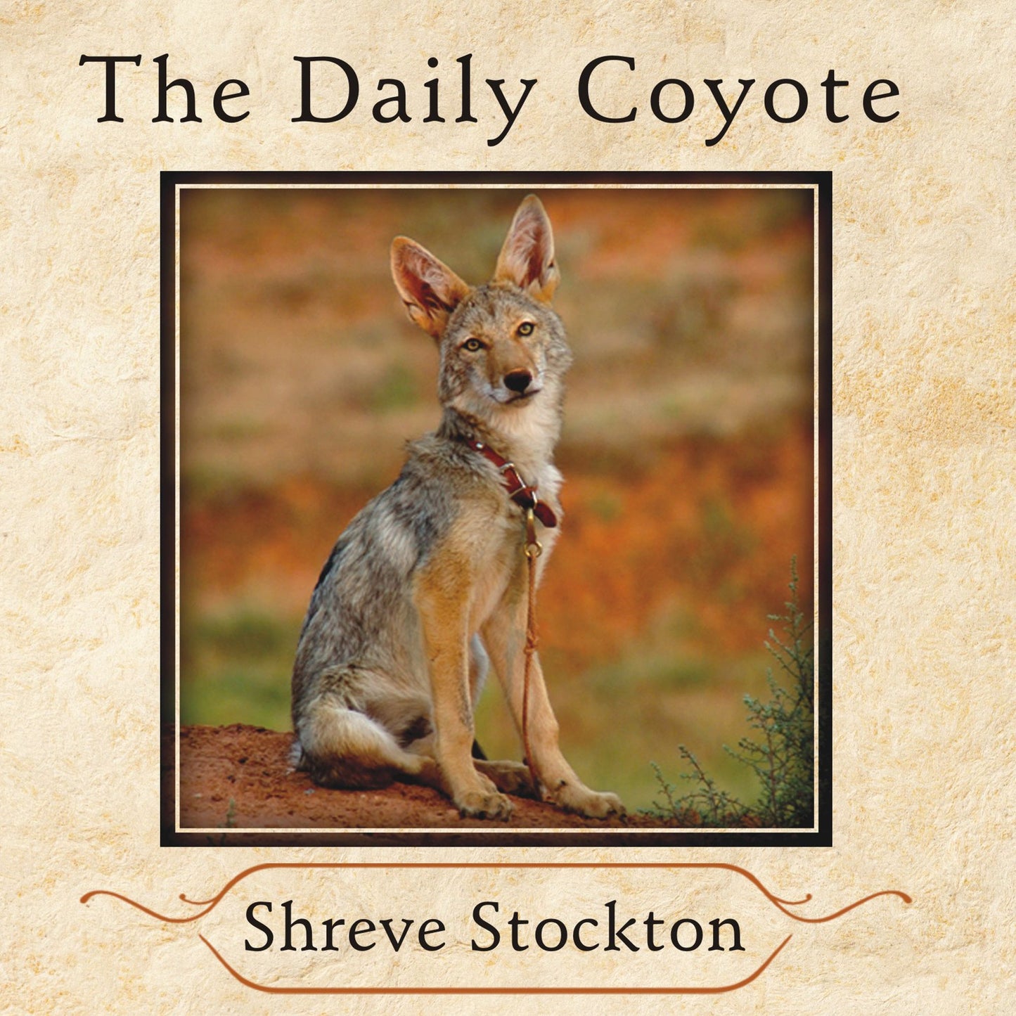 The Daily Coyote: A Story of Love, Survival, and Trust in the Wilds of Wyoming