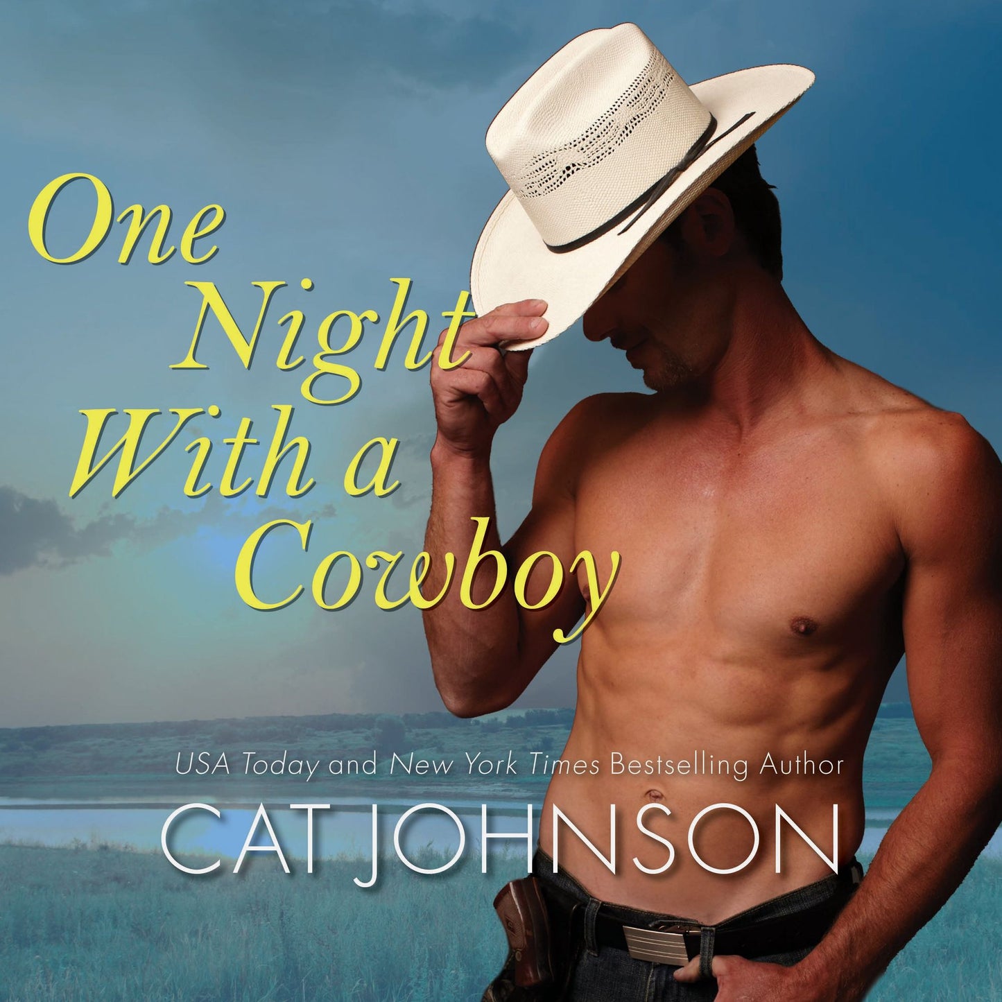 One Night With a Cowboy