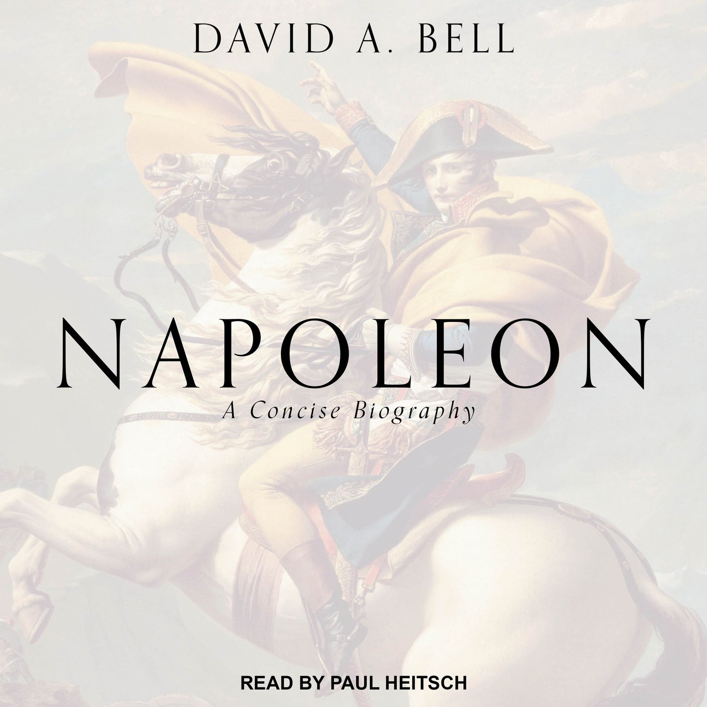 Napoleon: A Concise Biography