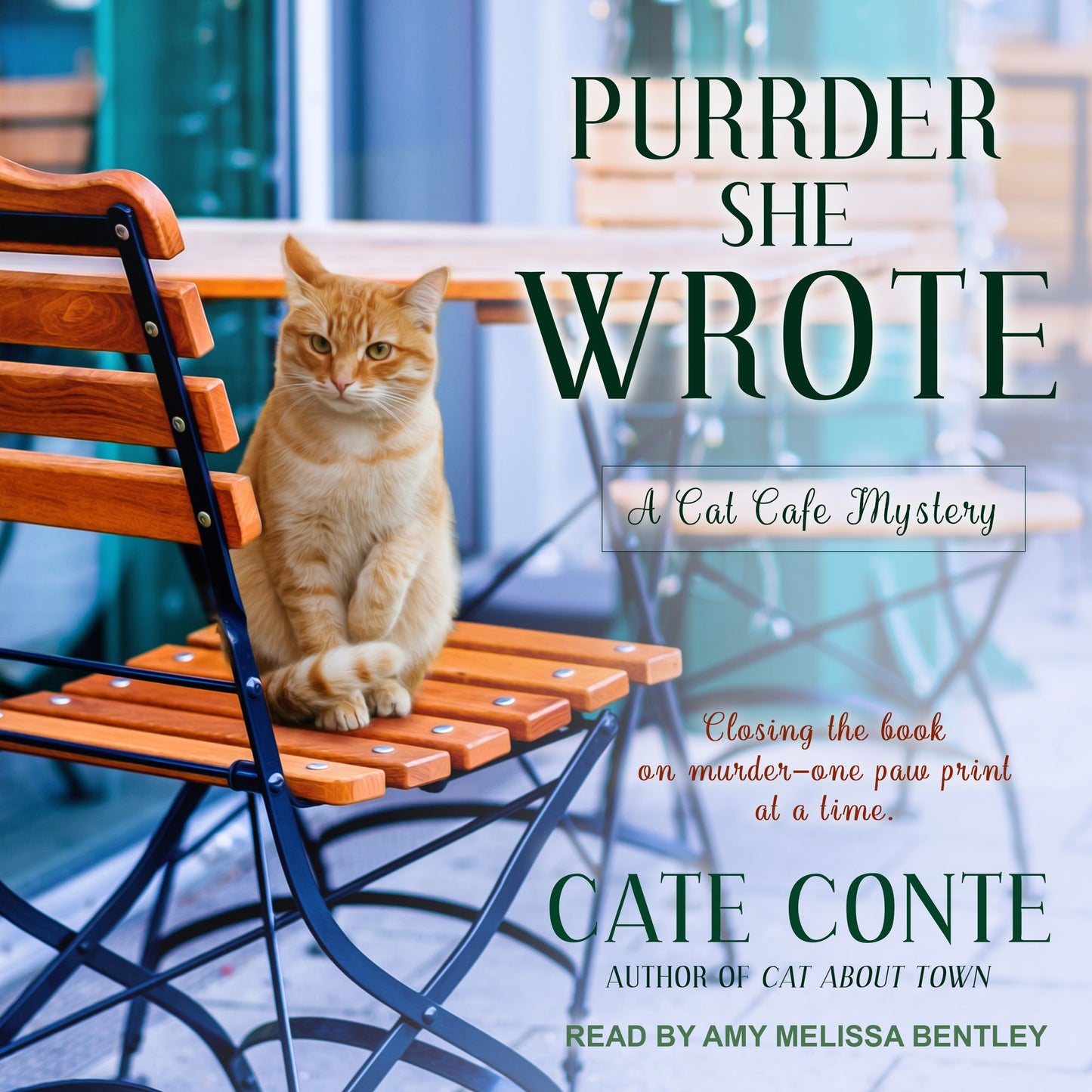 Purrder She Wrote: A Cat Café Mystery