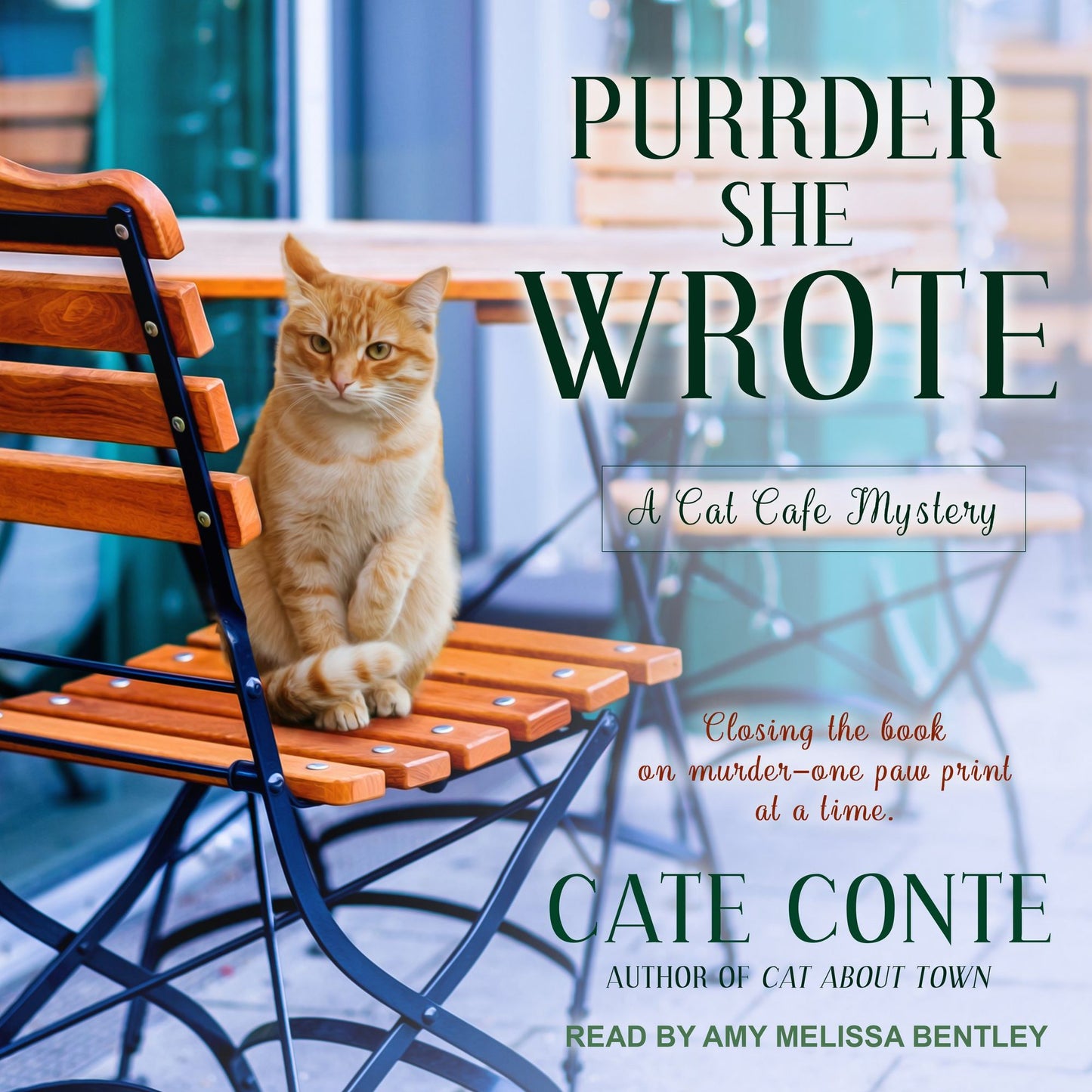 Purrder She Wrote: A Cat Café Mystery