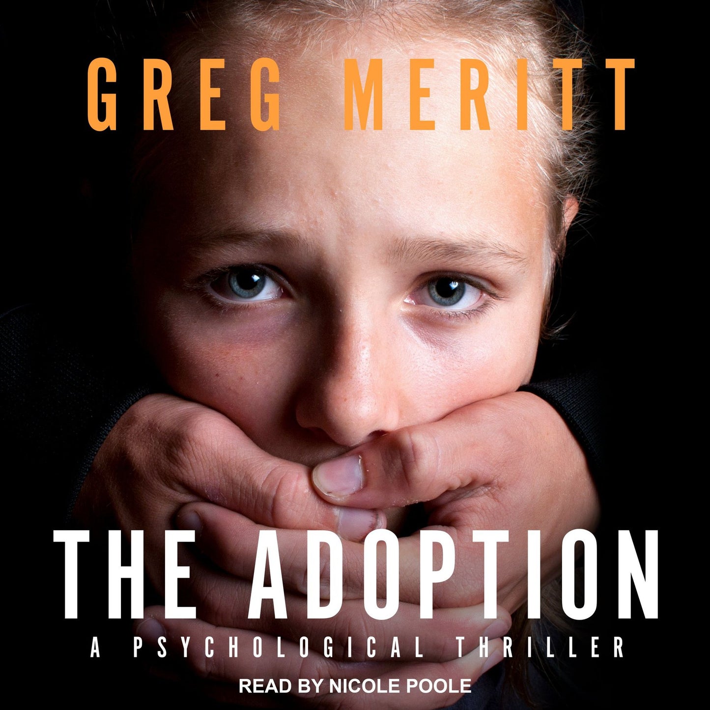 The Adoption: A Psychological Thriller