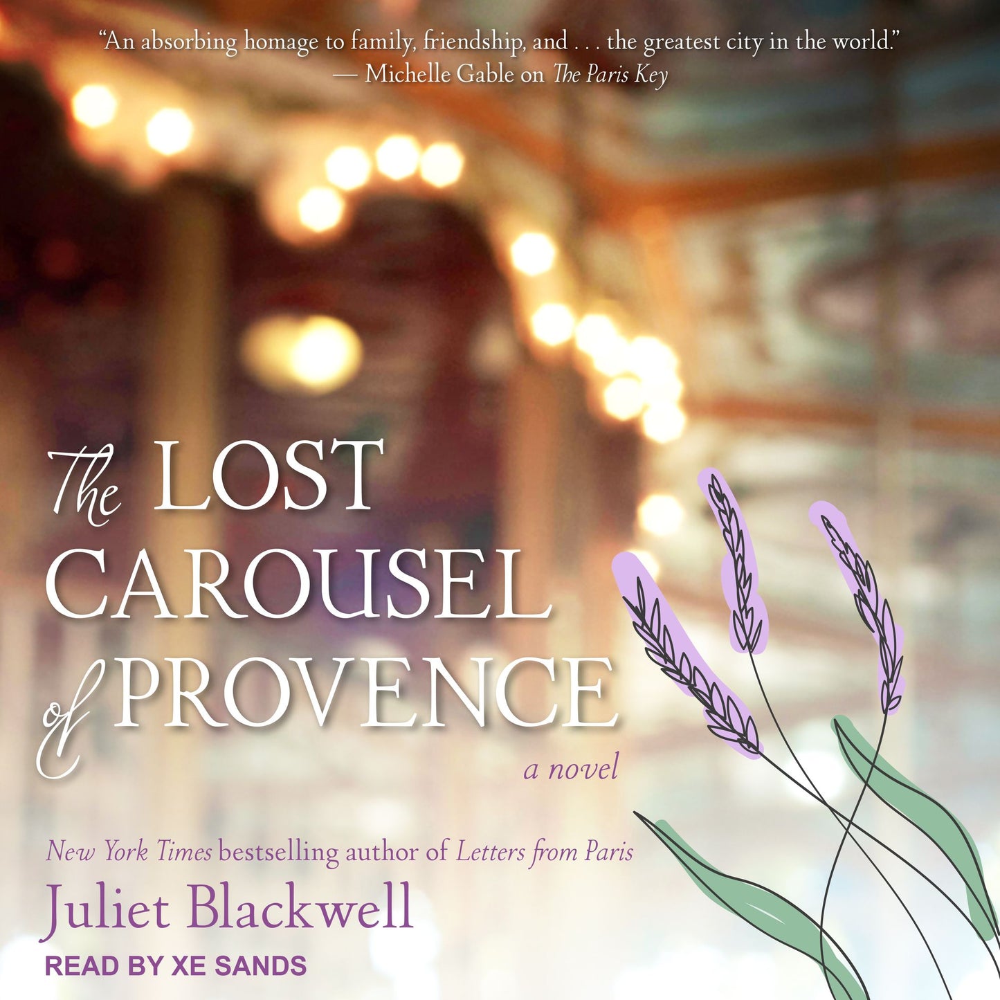 The Lost Carousel of Provence: A Novel