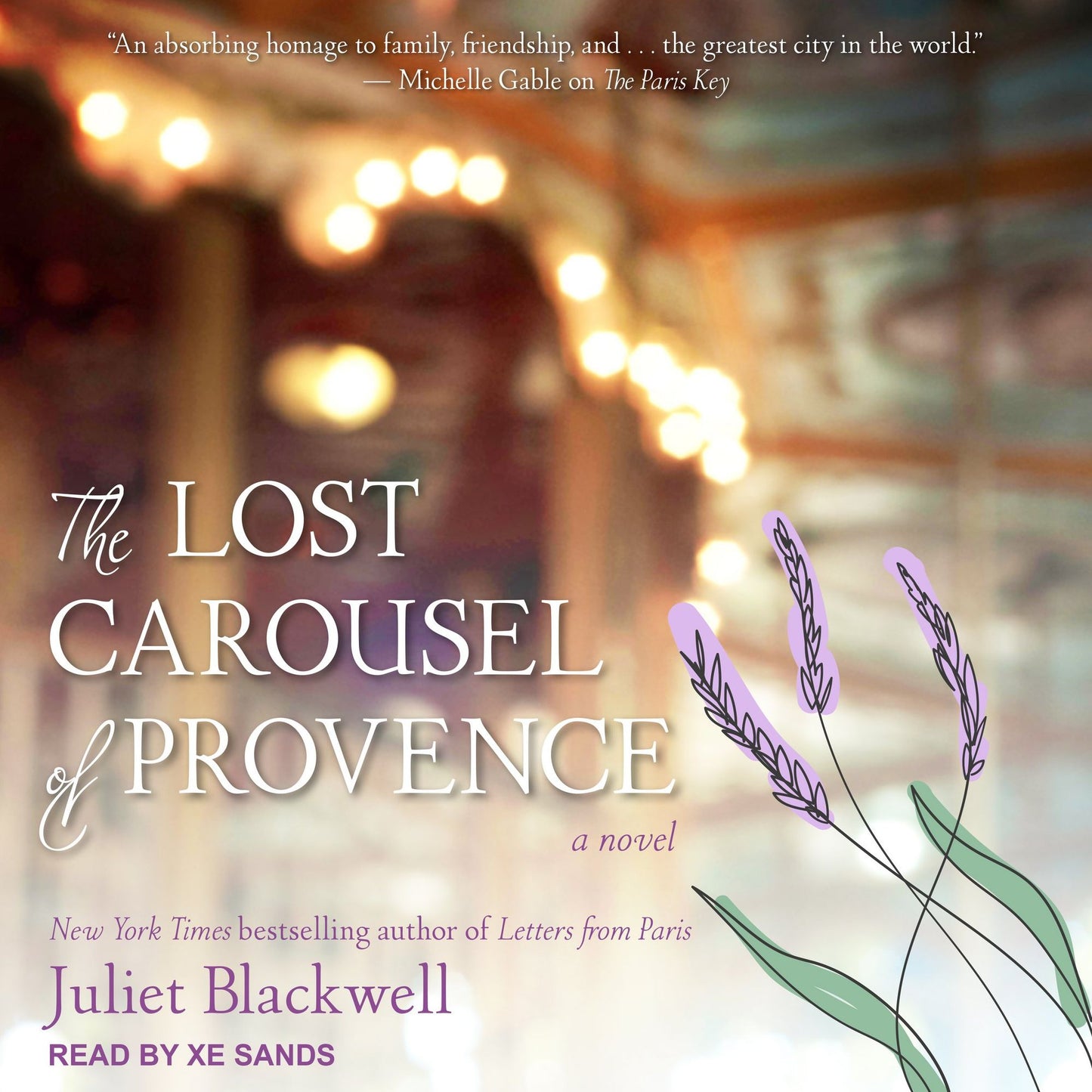 The Lost Carousel of Provence: A Novel