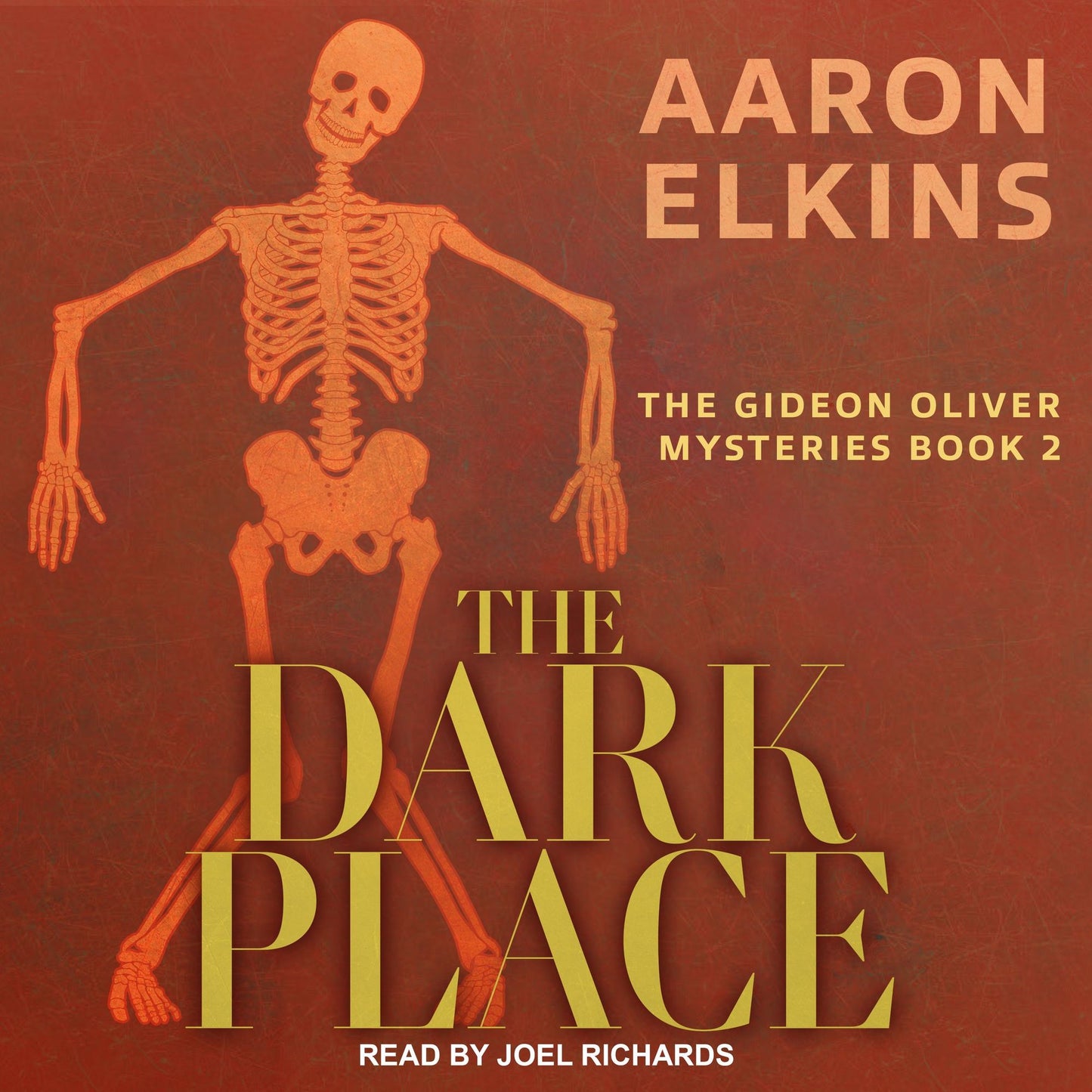 The Dark Place: The Gideon Oliver Mysteries, Book 2