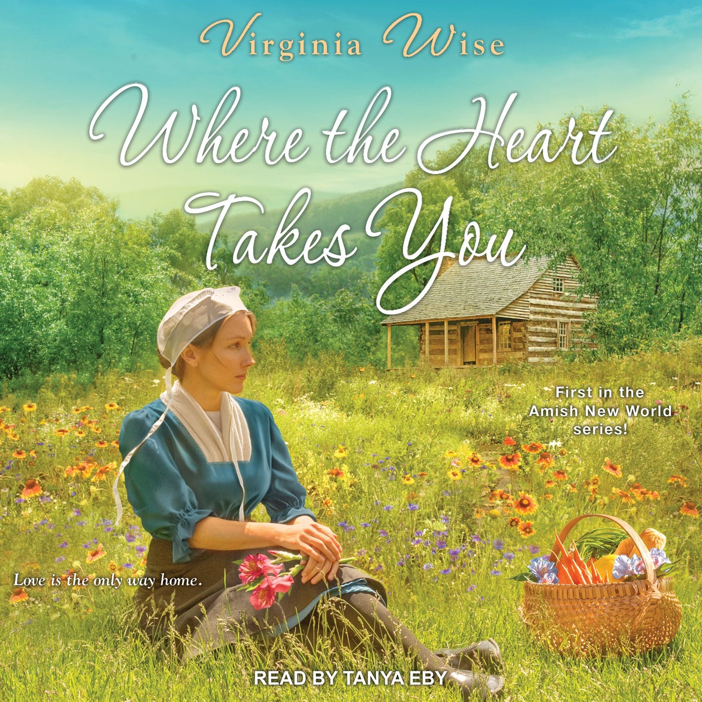 Where the Heart Takes You: Amish New World, Book 1