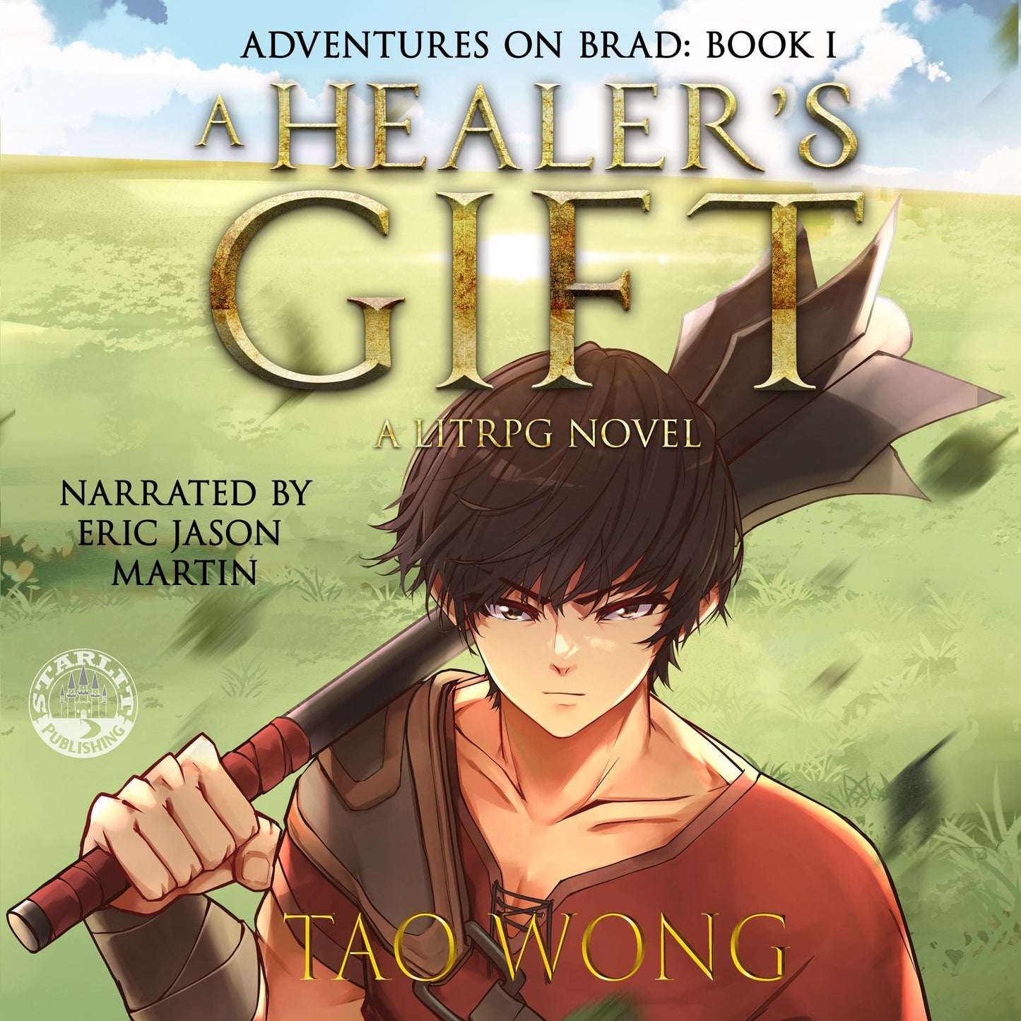 A Healer's Gift: Adventures on Brad (Books 1)