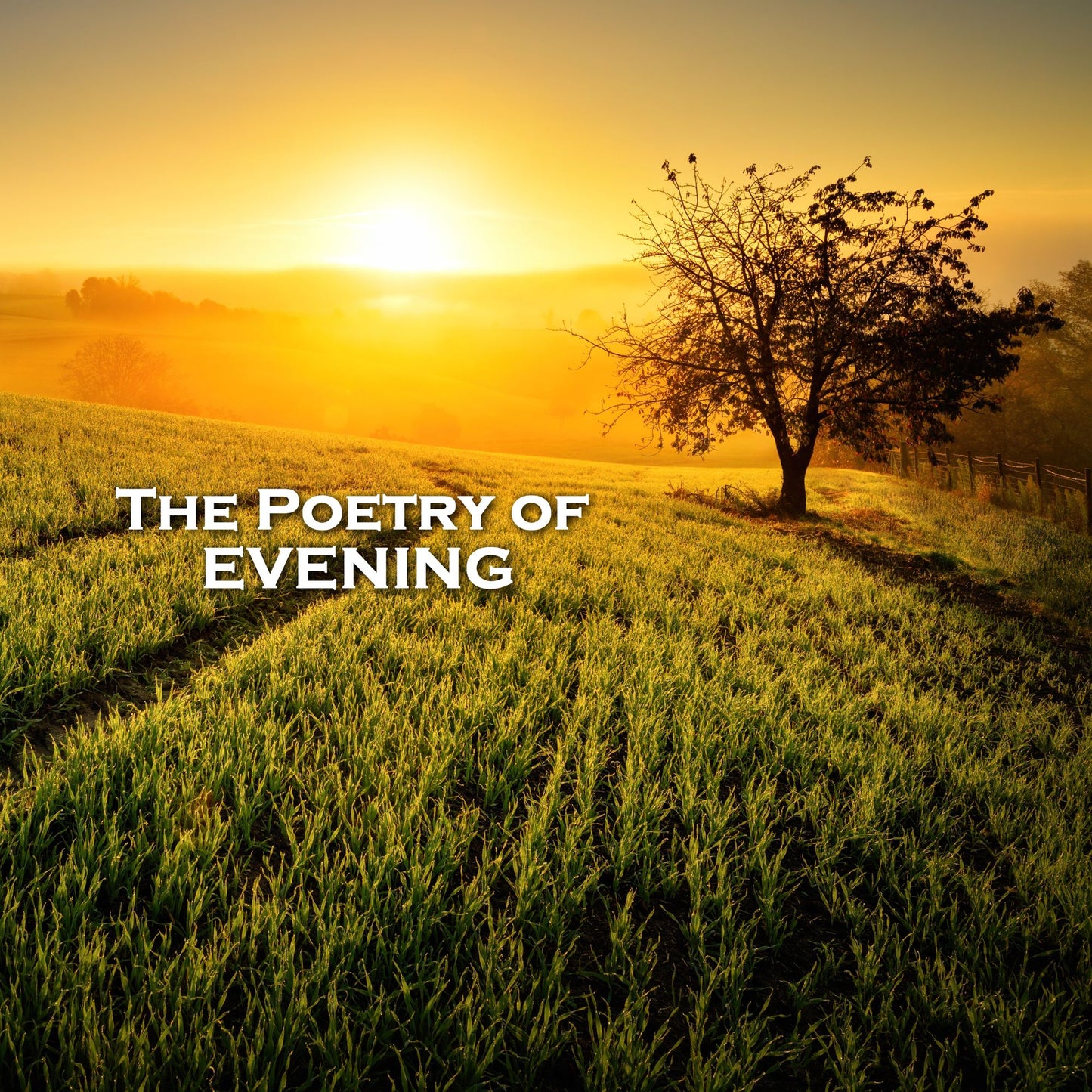 The Poetry of Evenings