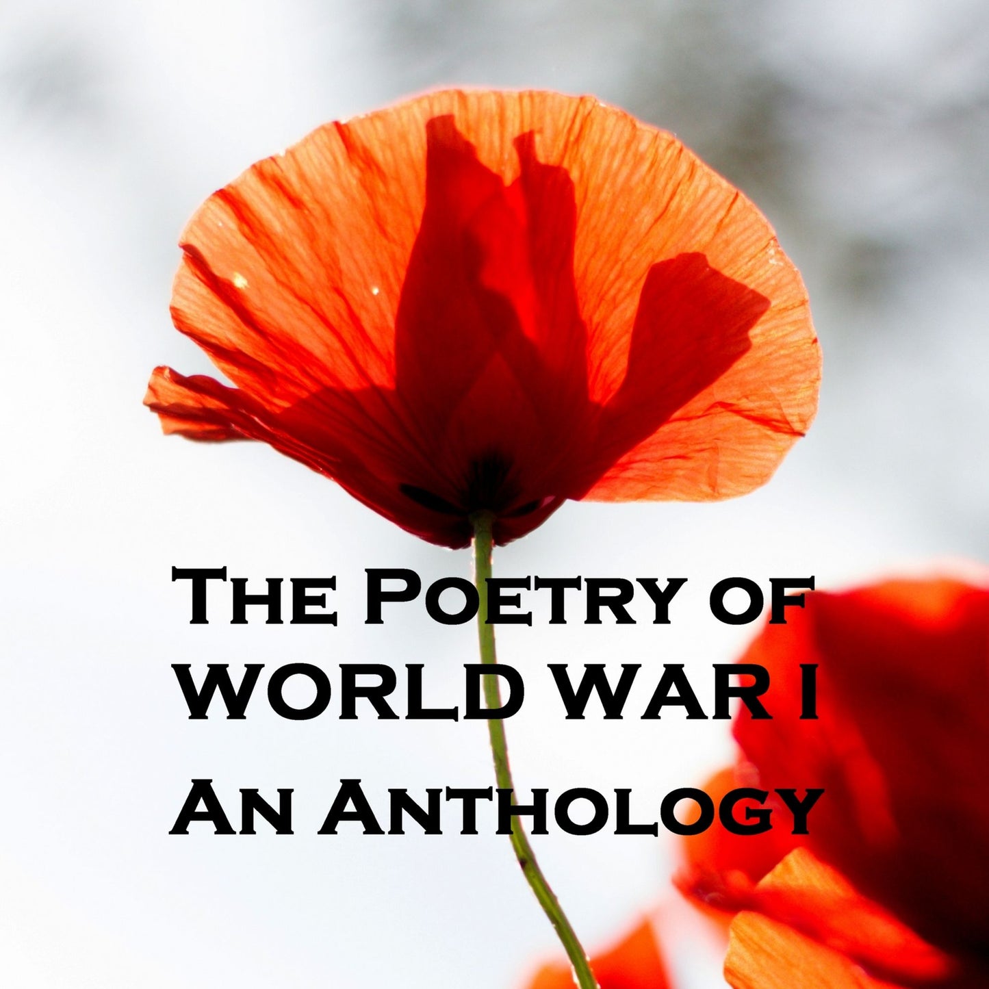 The Poetry of World War I: Volume I - An Anthology