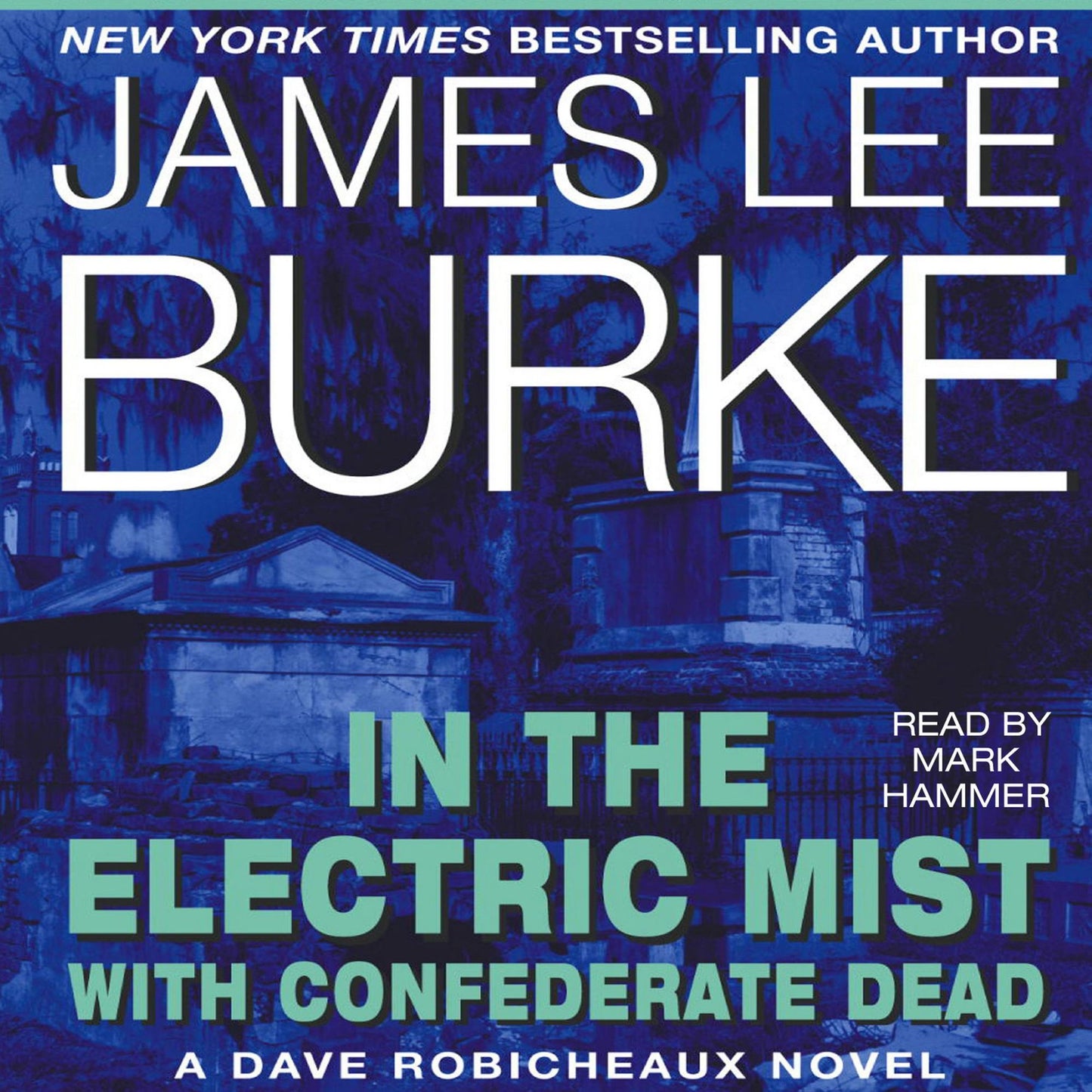 In the Electric Mist With Confederate Dead