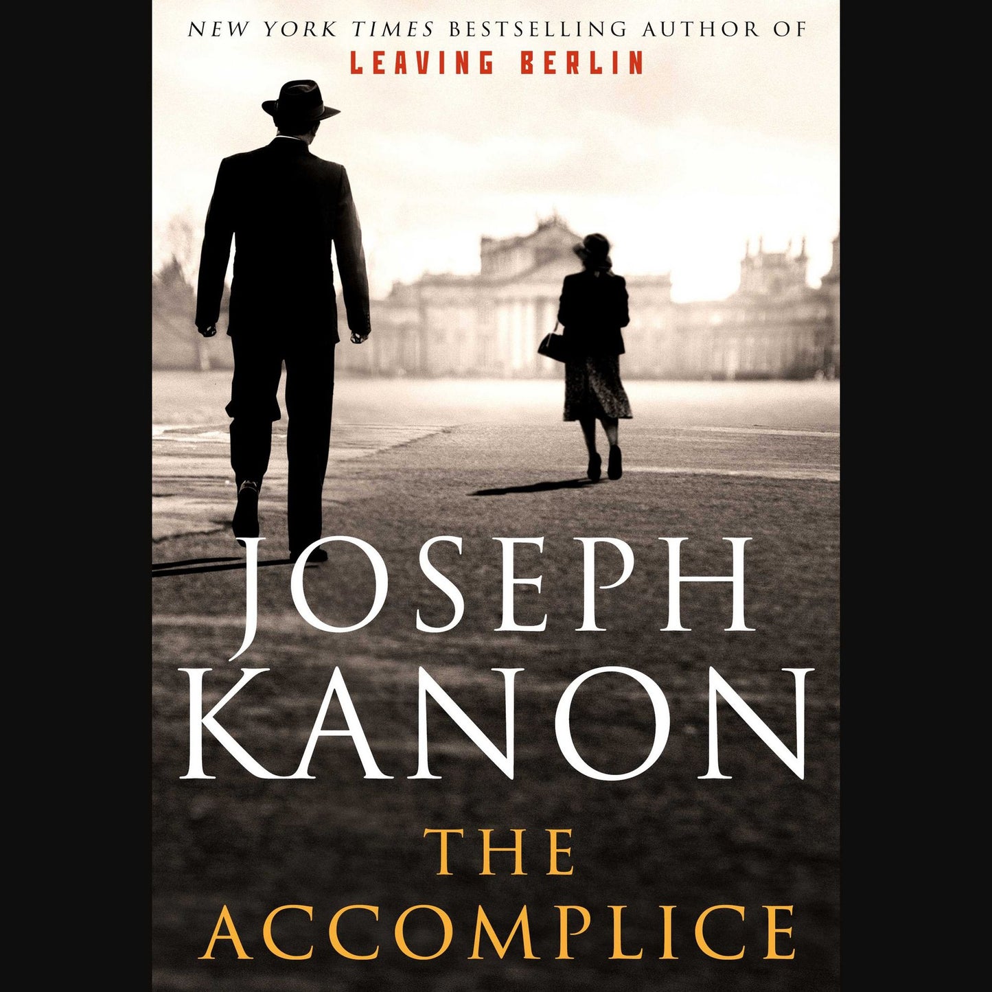 The Accomplice: A Novel