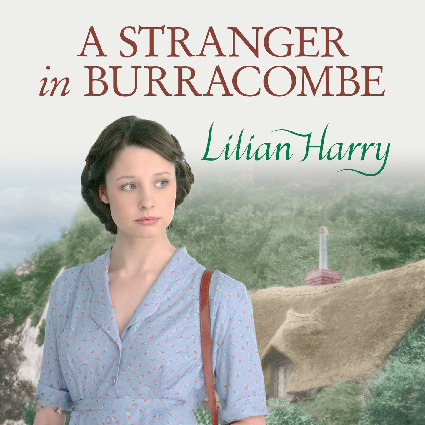 A Stranger in Burracombe