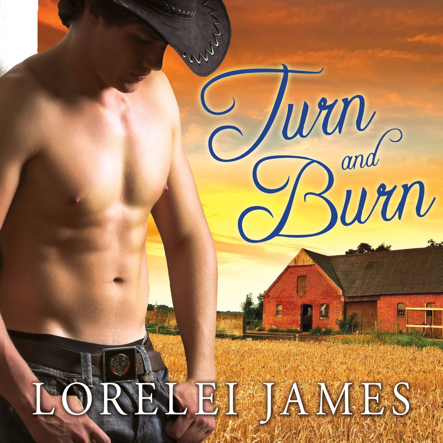 Turn and Burn
