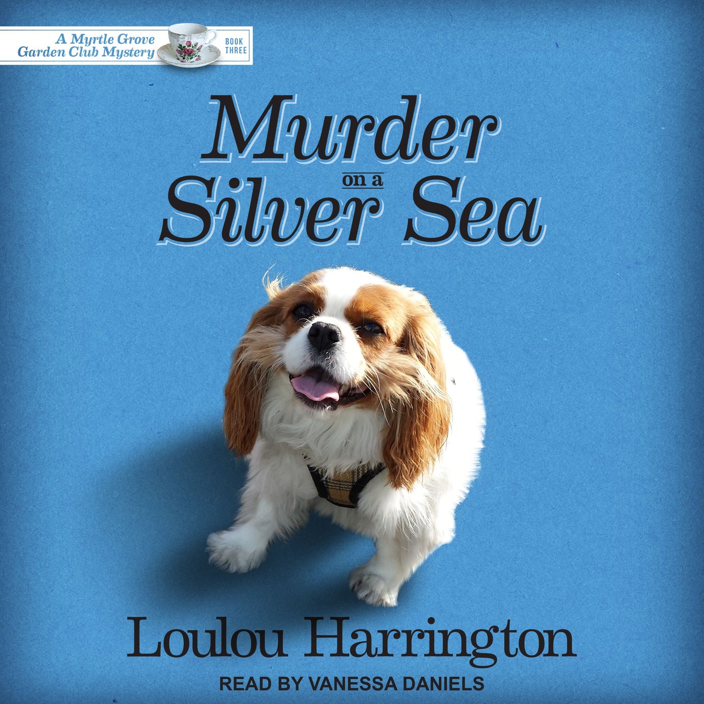 Murder on a Silver Sea: A Myrtle Grove Garden Club Mystery Book Three