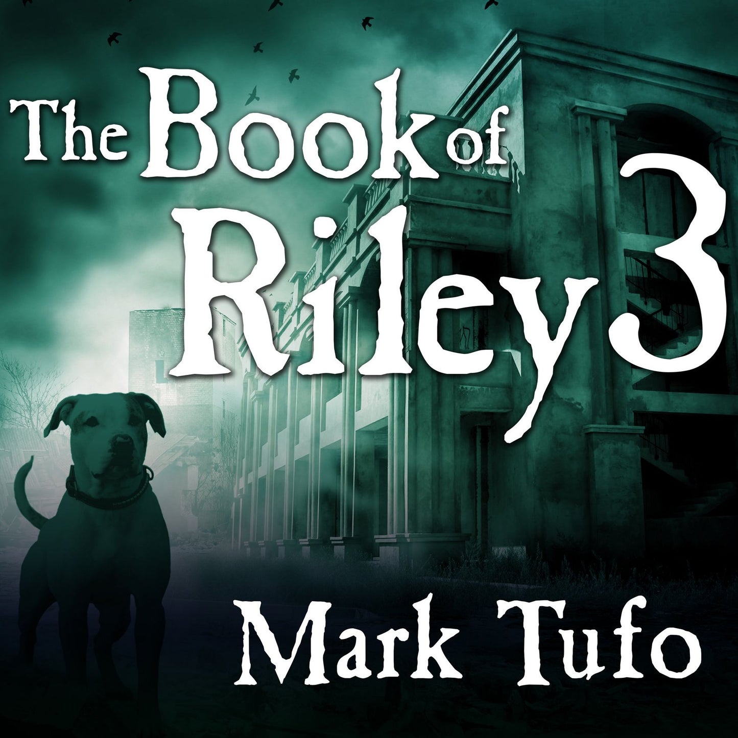 The Book of Riley 3: A Zombie Tale