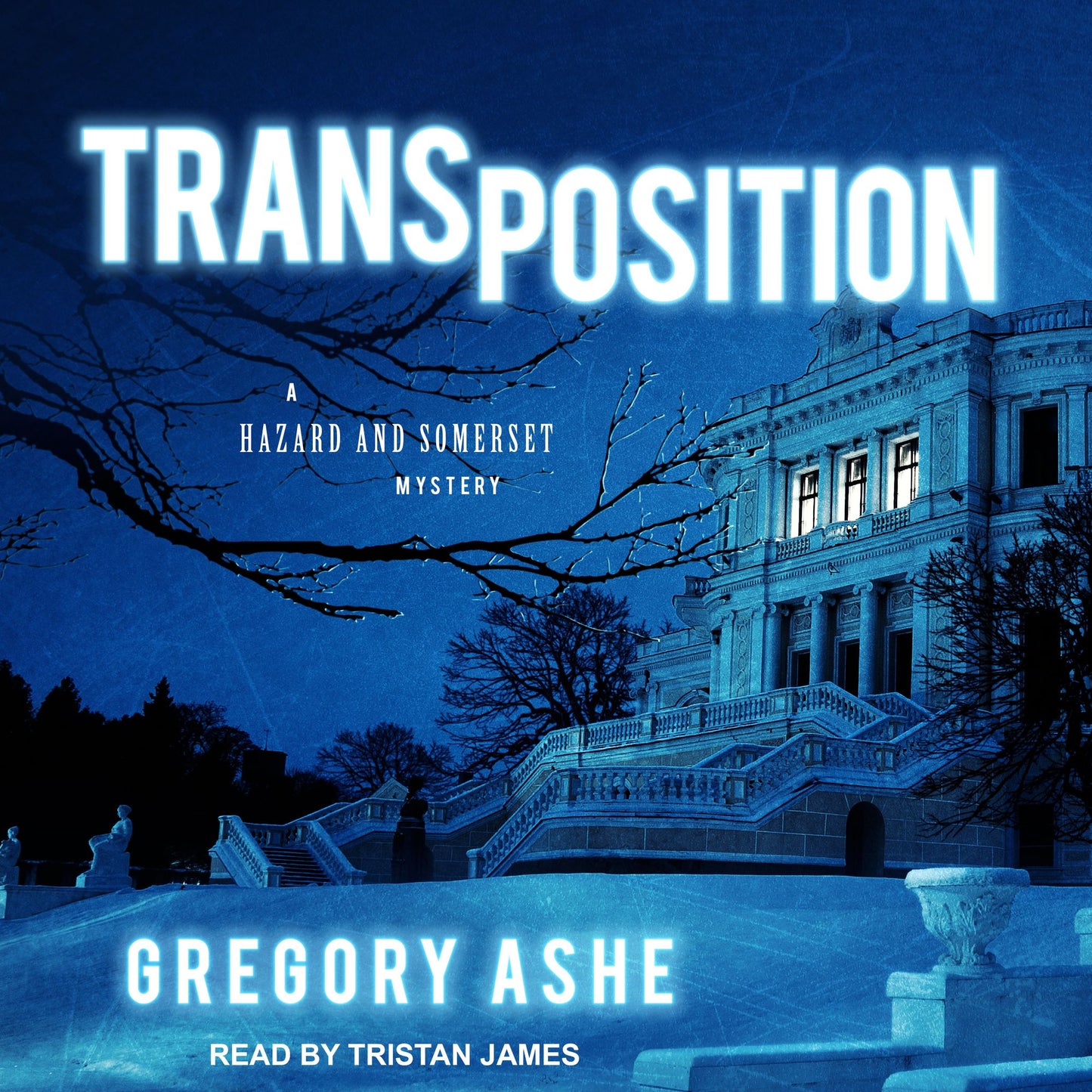 Transposition: A Hazard and Somerset Mystery