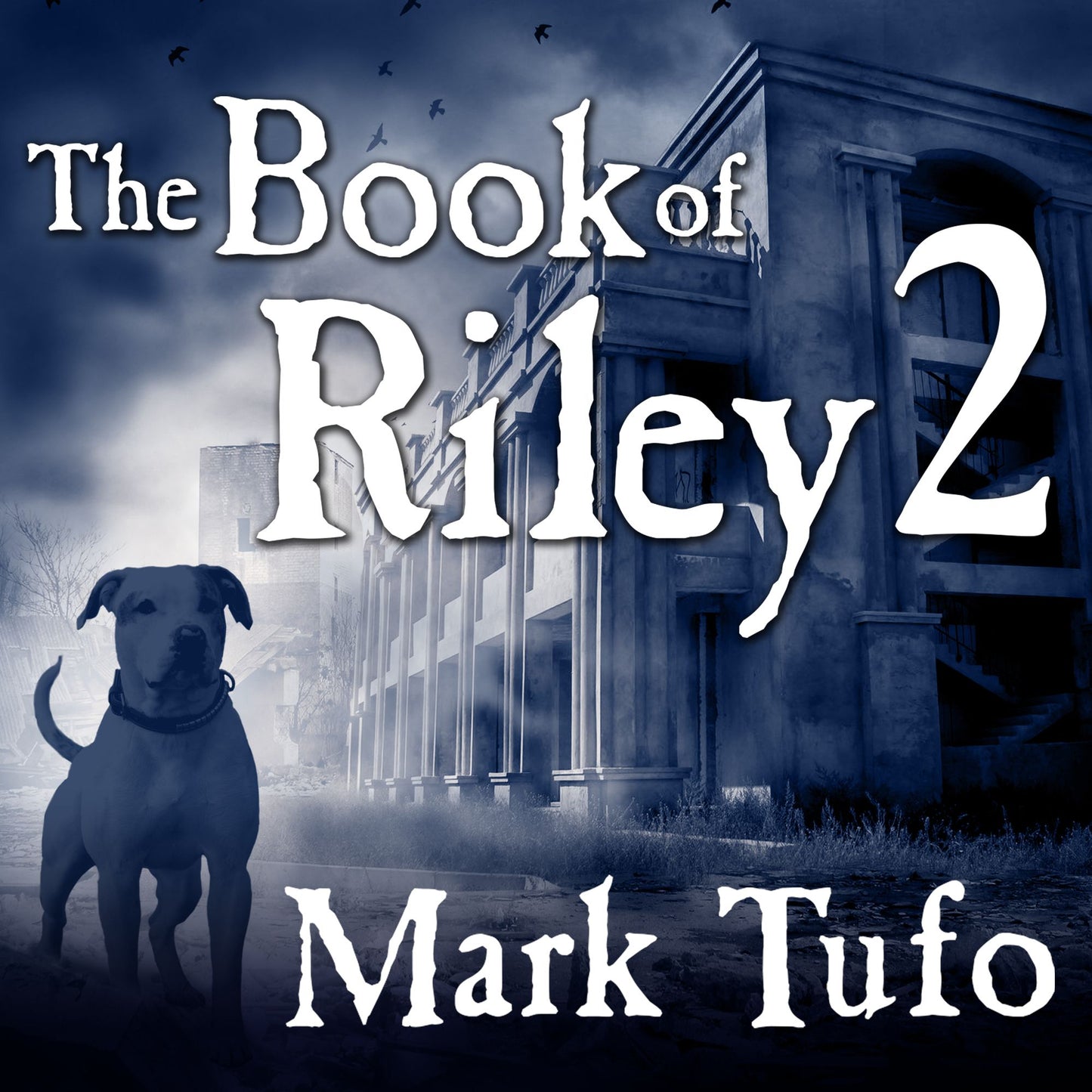 The Book of Riley 2: A Zombie Tale