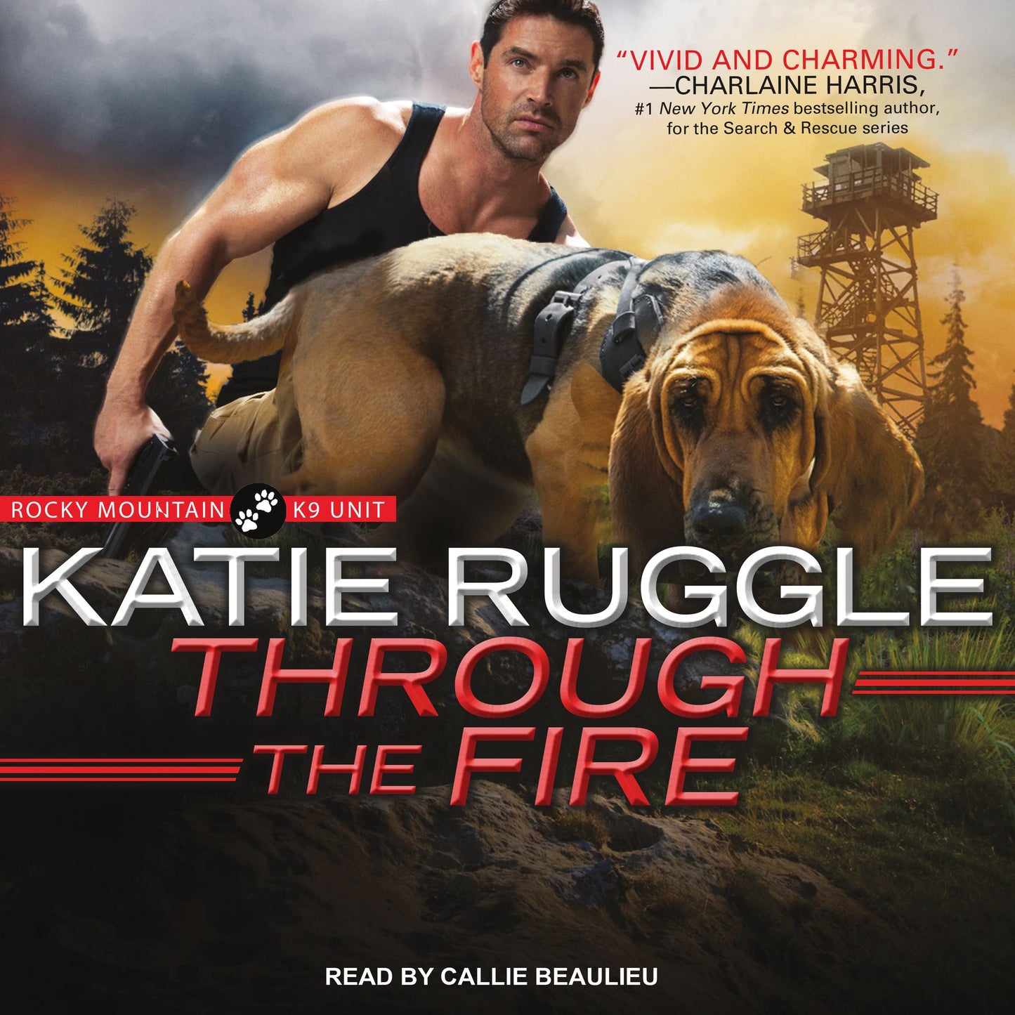 Through the Fire: Rocky Mountain K9 Unit, Book 4
