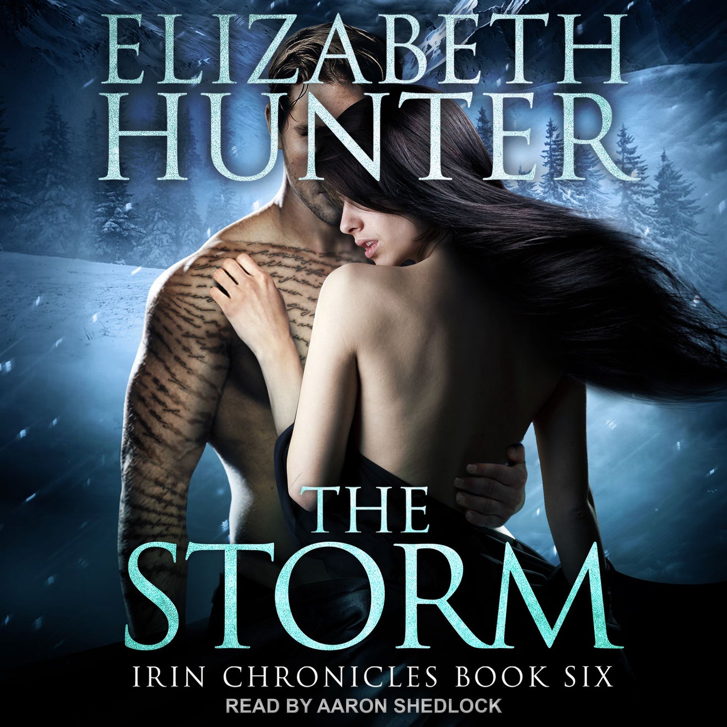 The Storm: Irin Chronicles Book Six