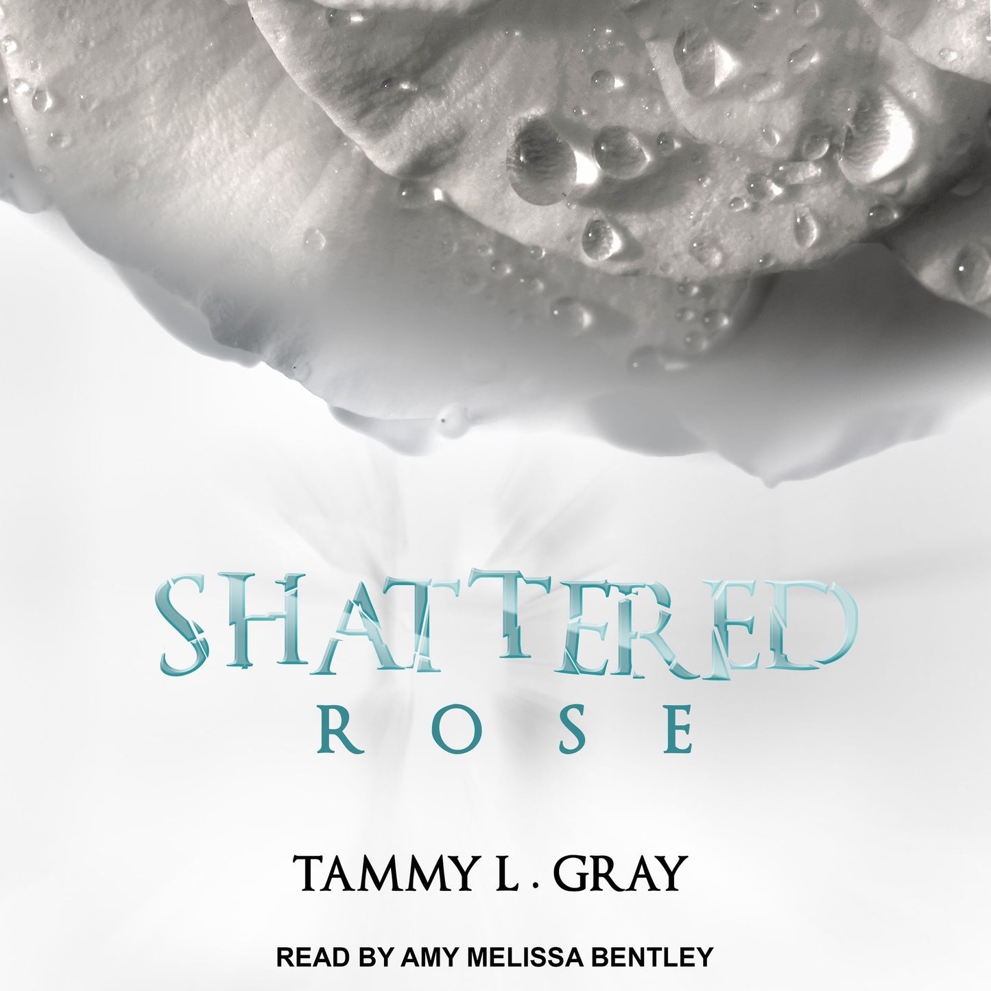 Shattered Rose