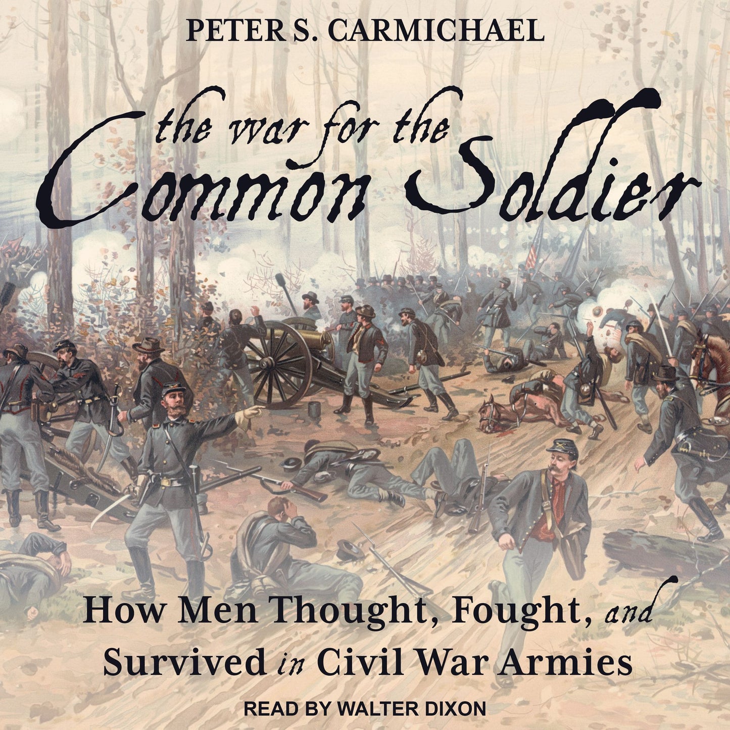 The War for the Common Soldier: How Men Thought, Fought, and Survived in Civil War Armies