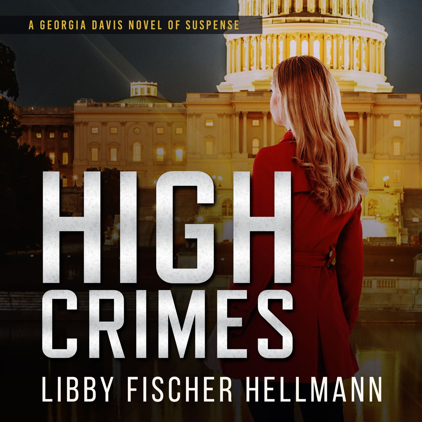 High Crimes : Chicago PI Investigates a Murder with 42,000 Suspects
