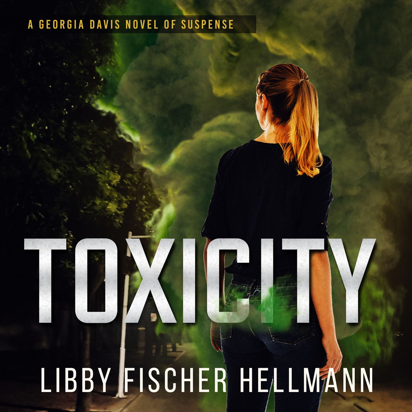 ToxiCity: A Prequel : The Georgia Davis Series #3