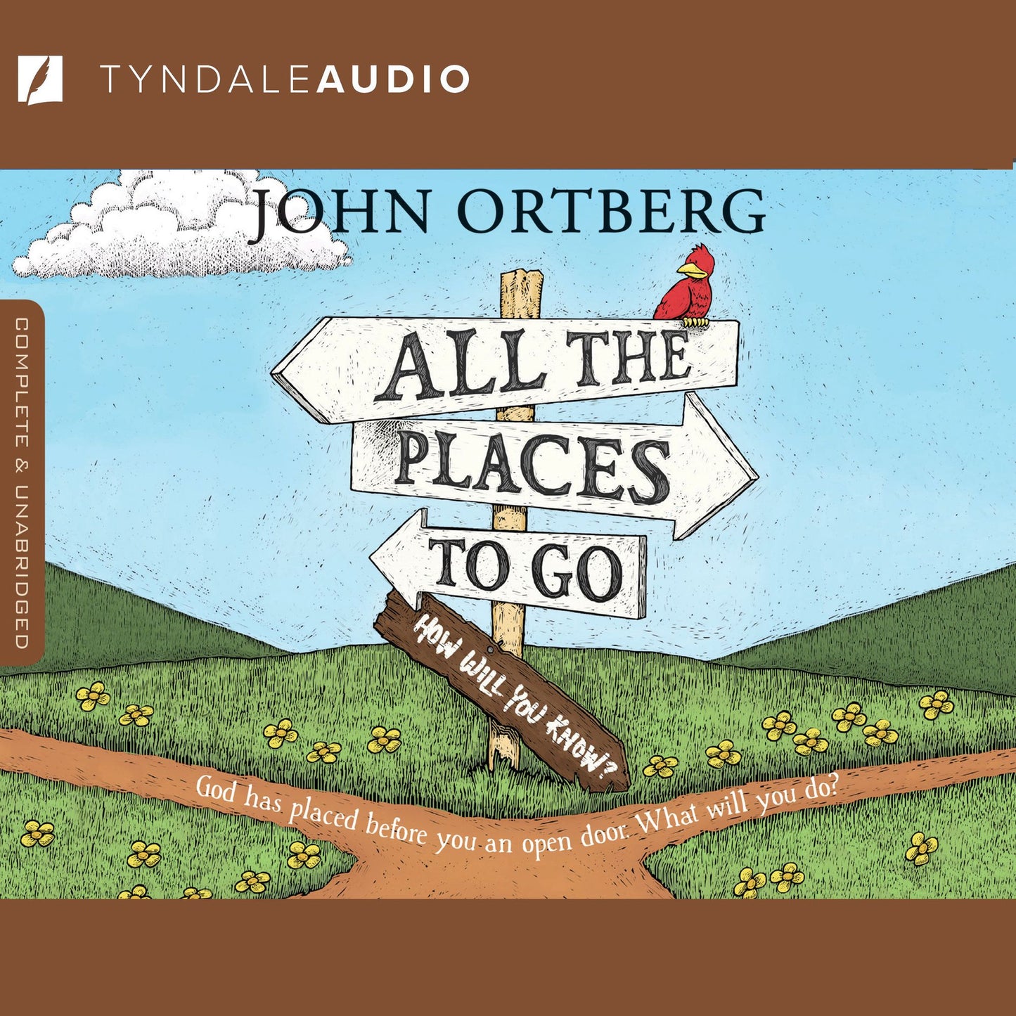 All the Places to Go . . . How Will You Know?: God Has Placed before You an Open Door. What Will You Do?