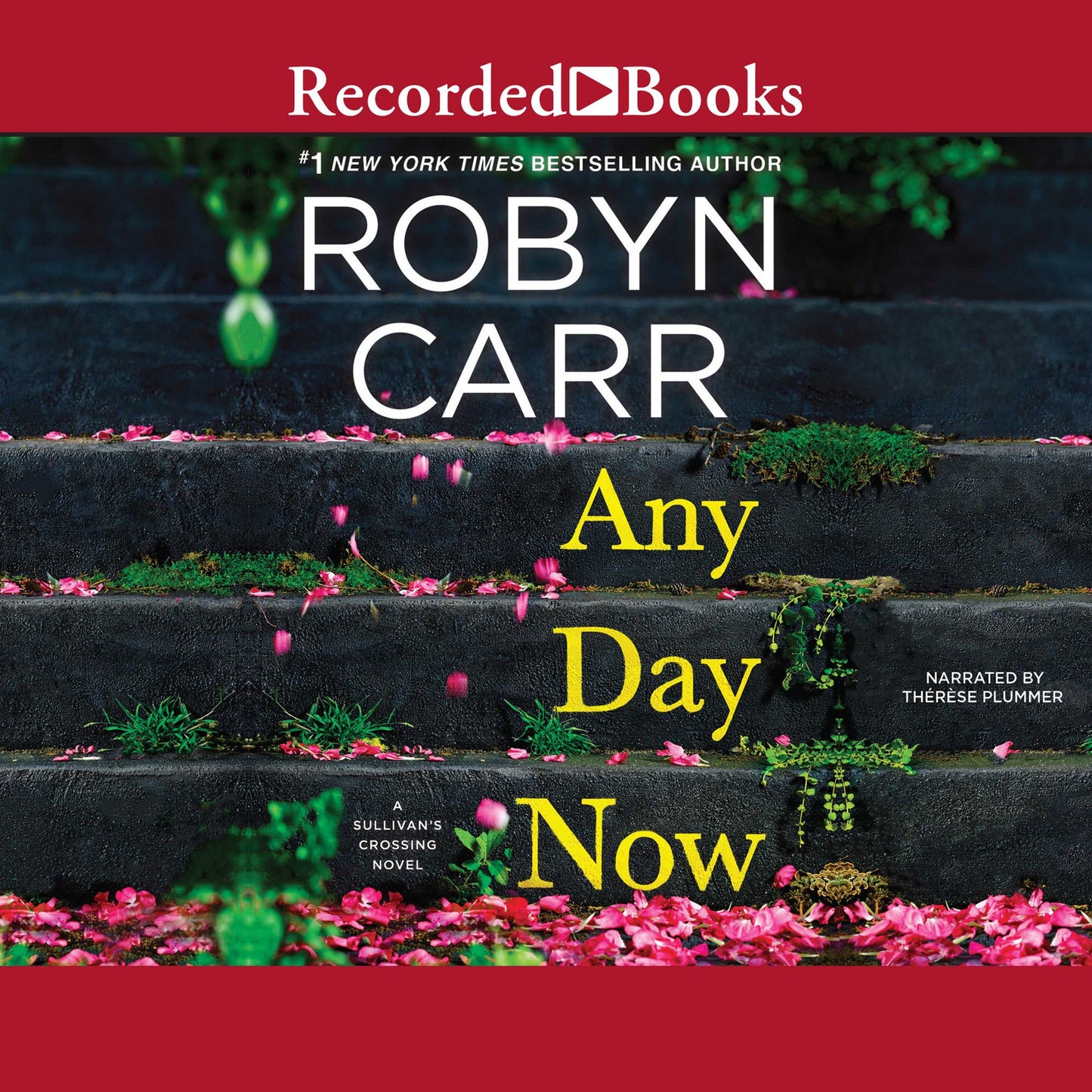 Any Day Now: Sullivan's Crossing, Book 2