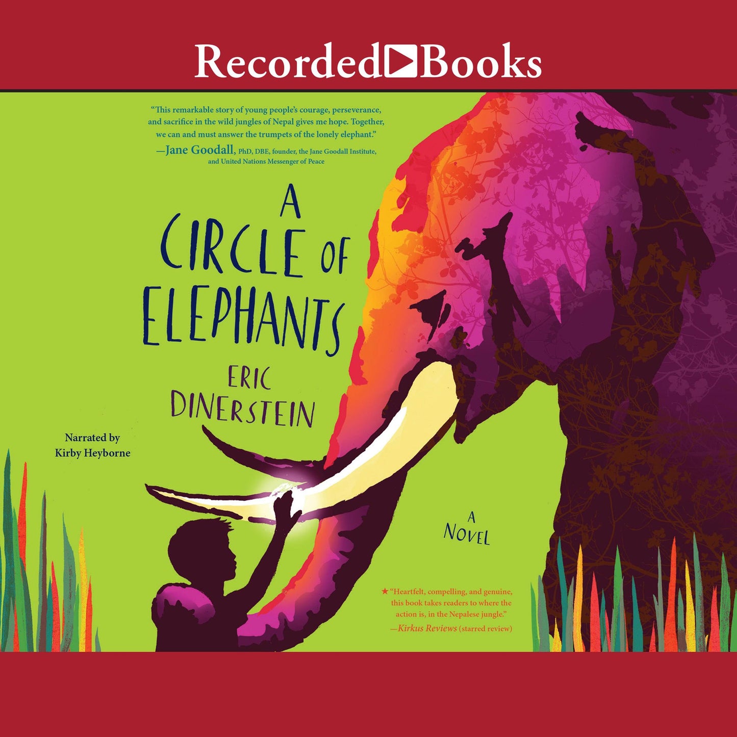A Circle of Elephants: A Novel